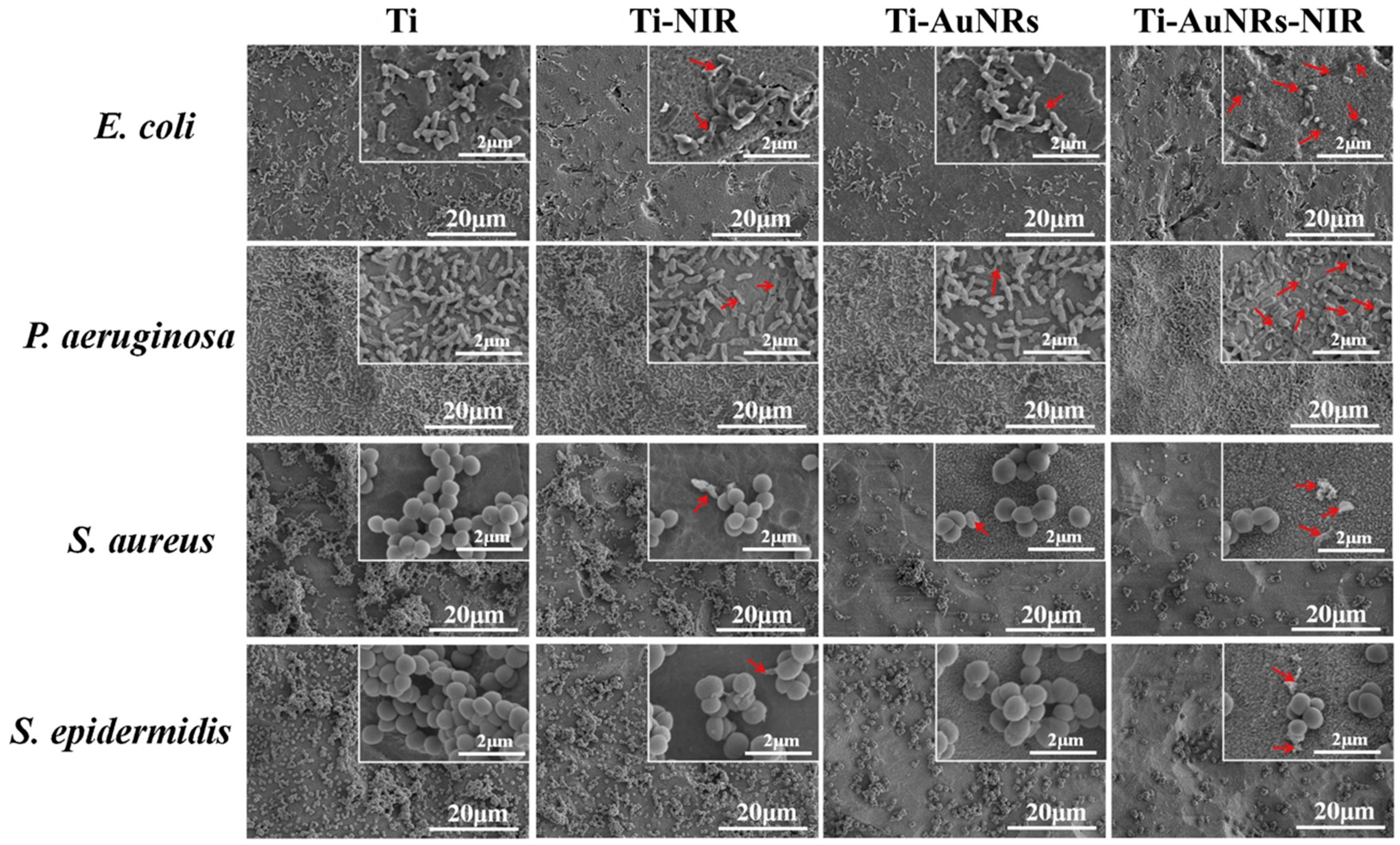 Nanomaterials 10 01123 g005 Nanomaterials 10 01123 g005