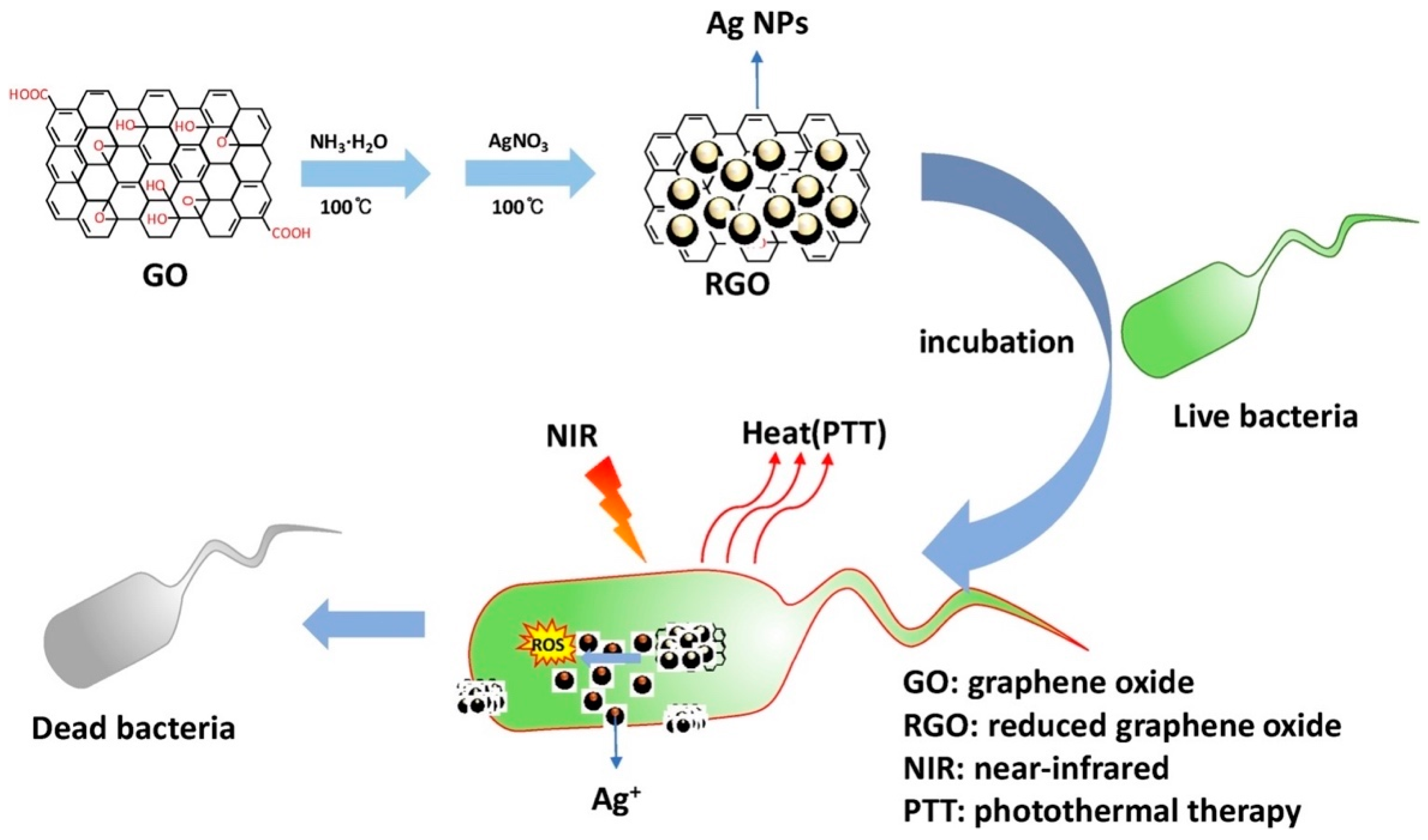Nanomaterials Free Full Text Nanomaterials For The Photothermal Killing Of Bacteria Html Nanomaterials Free Full Text Nanomaterials For The Photothermal Killing Of Bacteria Html