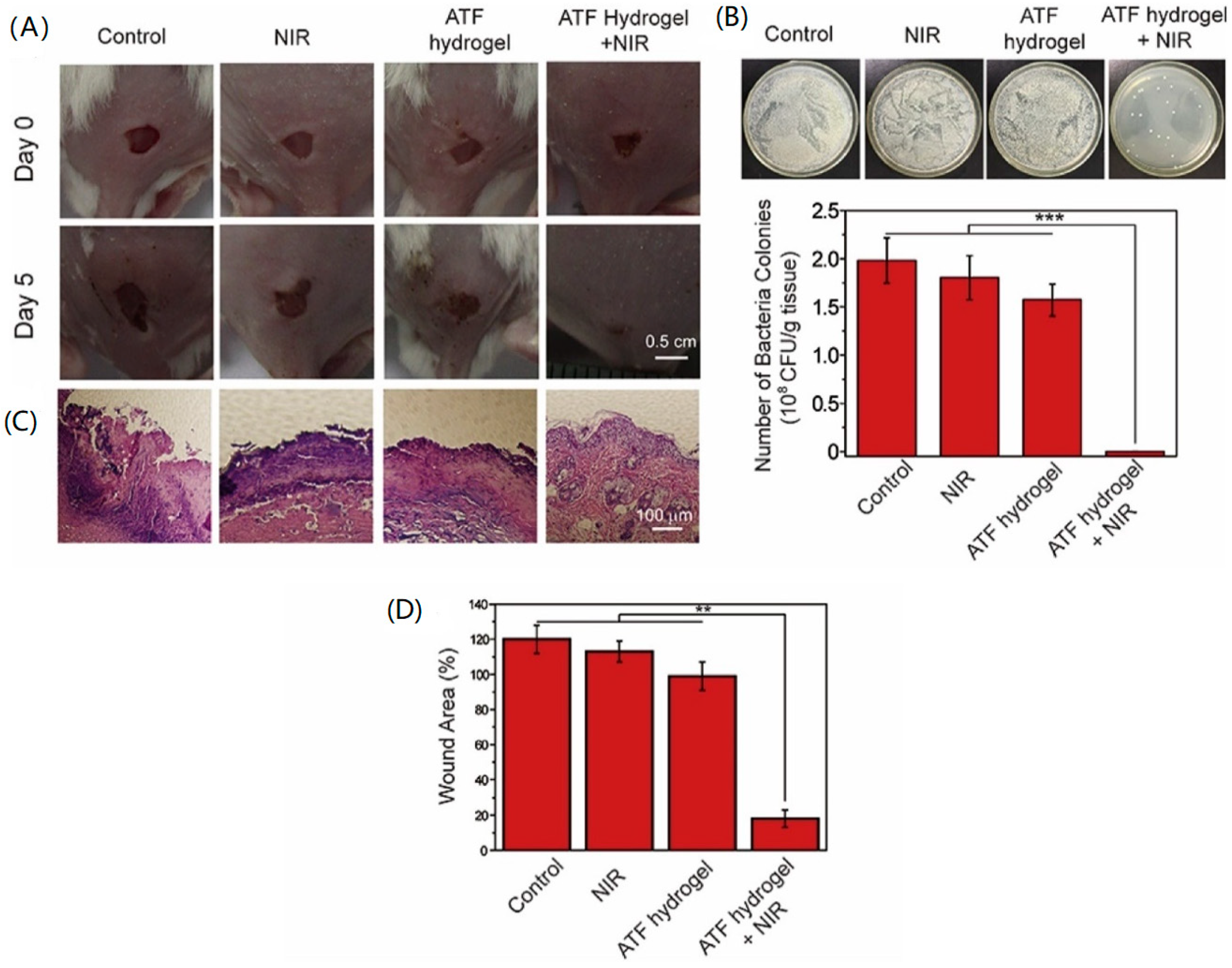 Nanomaterials 10 01123 g011 Nanomaterials 10 01123 g011