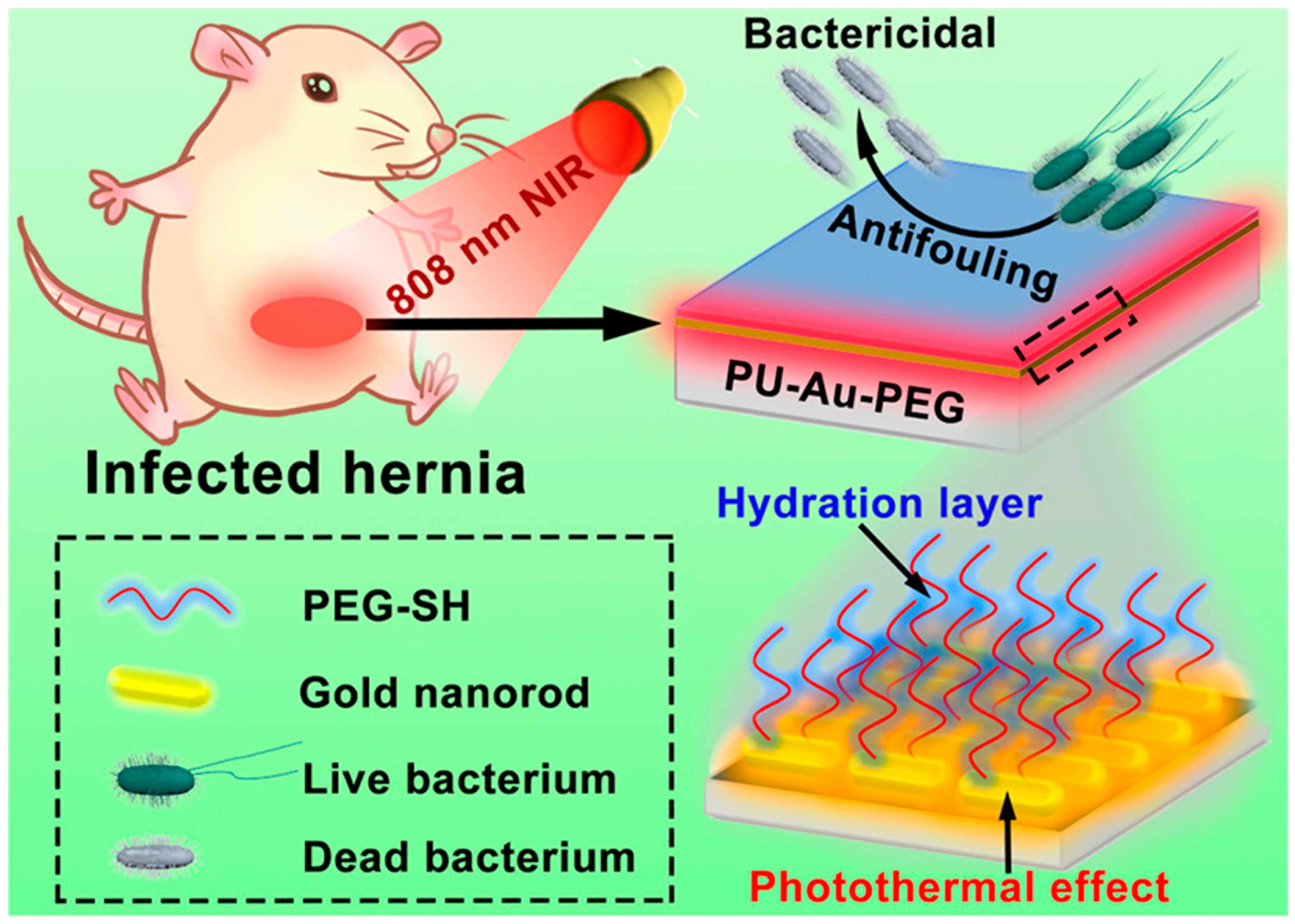 Nanomaterials 10 01123 g012 Nanomaterials 10 01123 g012