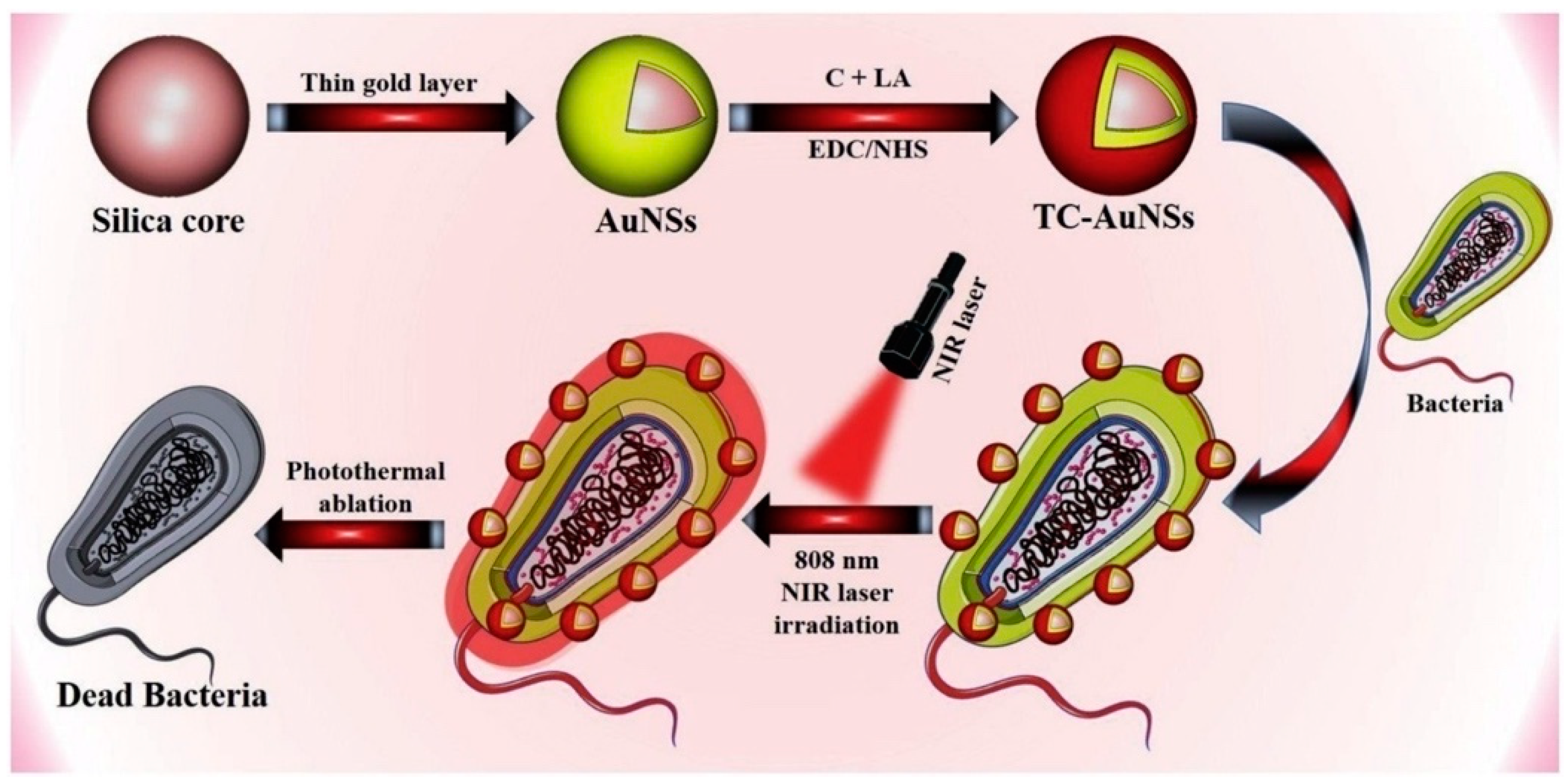 Nanomaterials 10 01123 g013 Nanomaterials 10 01123 g013