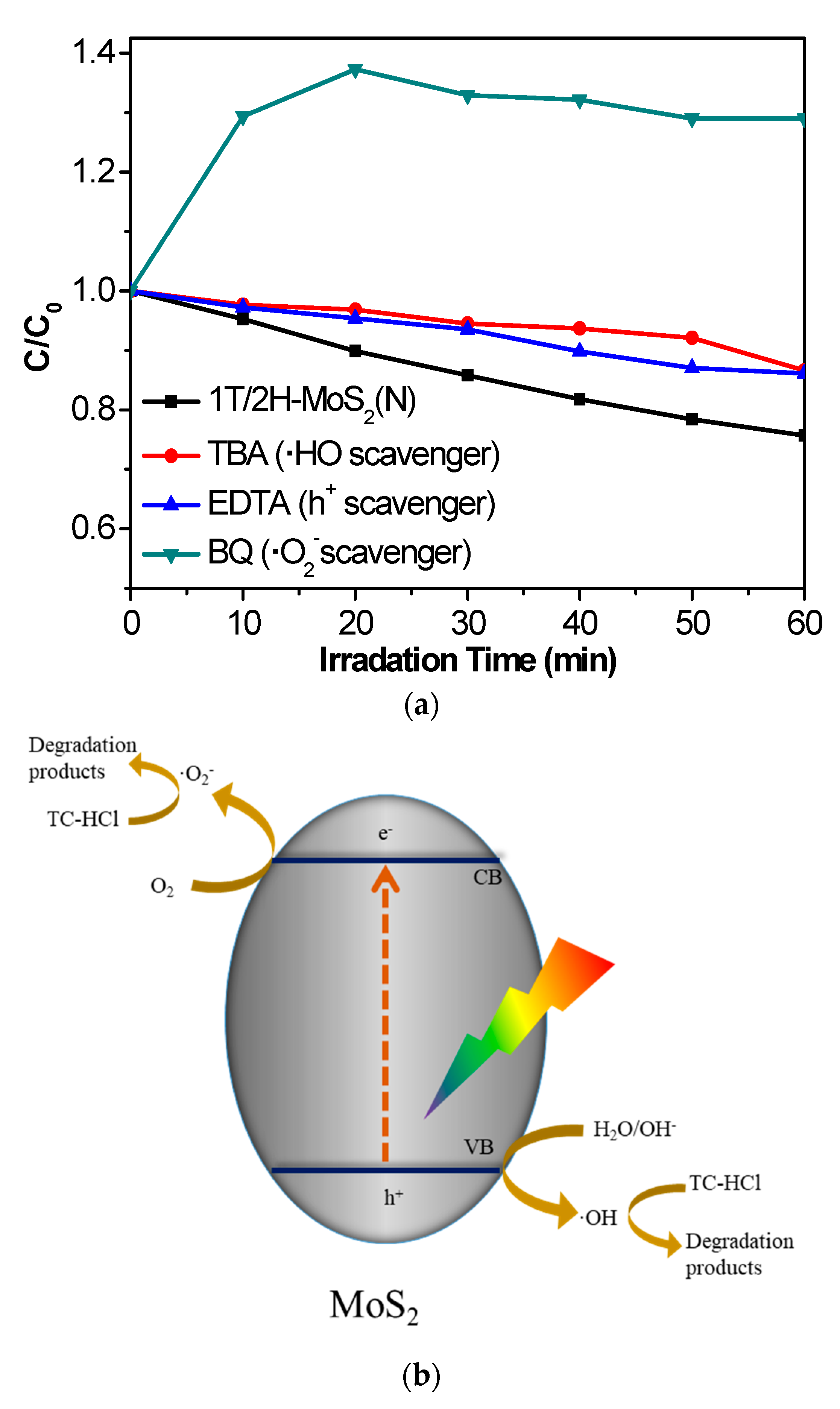 Nanomaterials 10 01124 g008 Nanomaterials 10 01124 g008