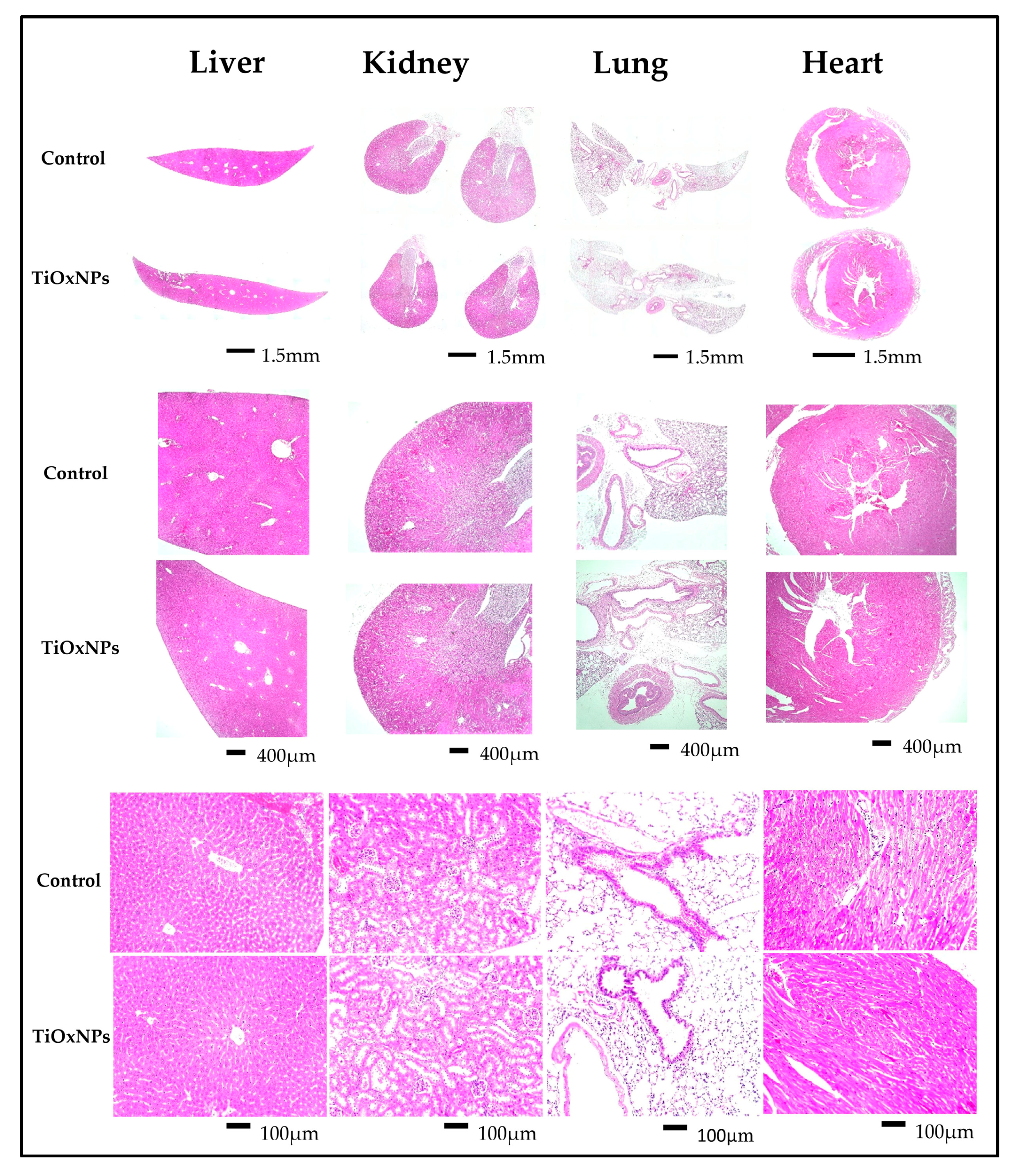 Nanomaterials 10 01125 g001 Nanomaterials 10 01125 g001