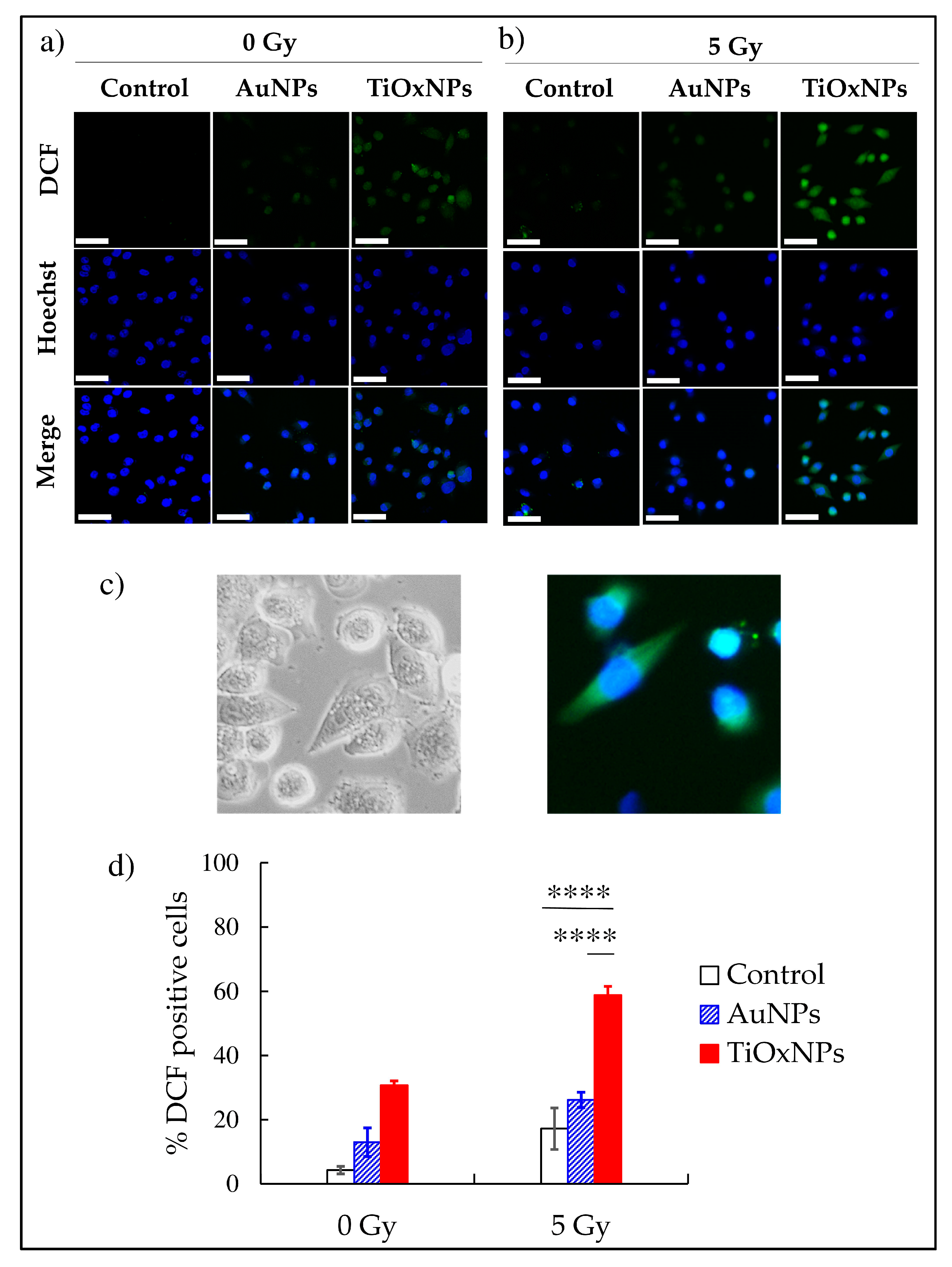 Nanomaterials 10 01125 g003 Nanomaterials 10 01125 g003