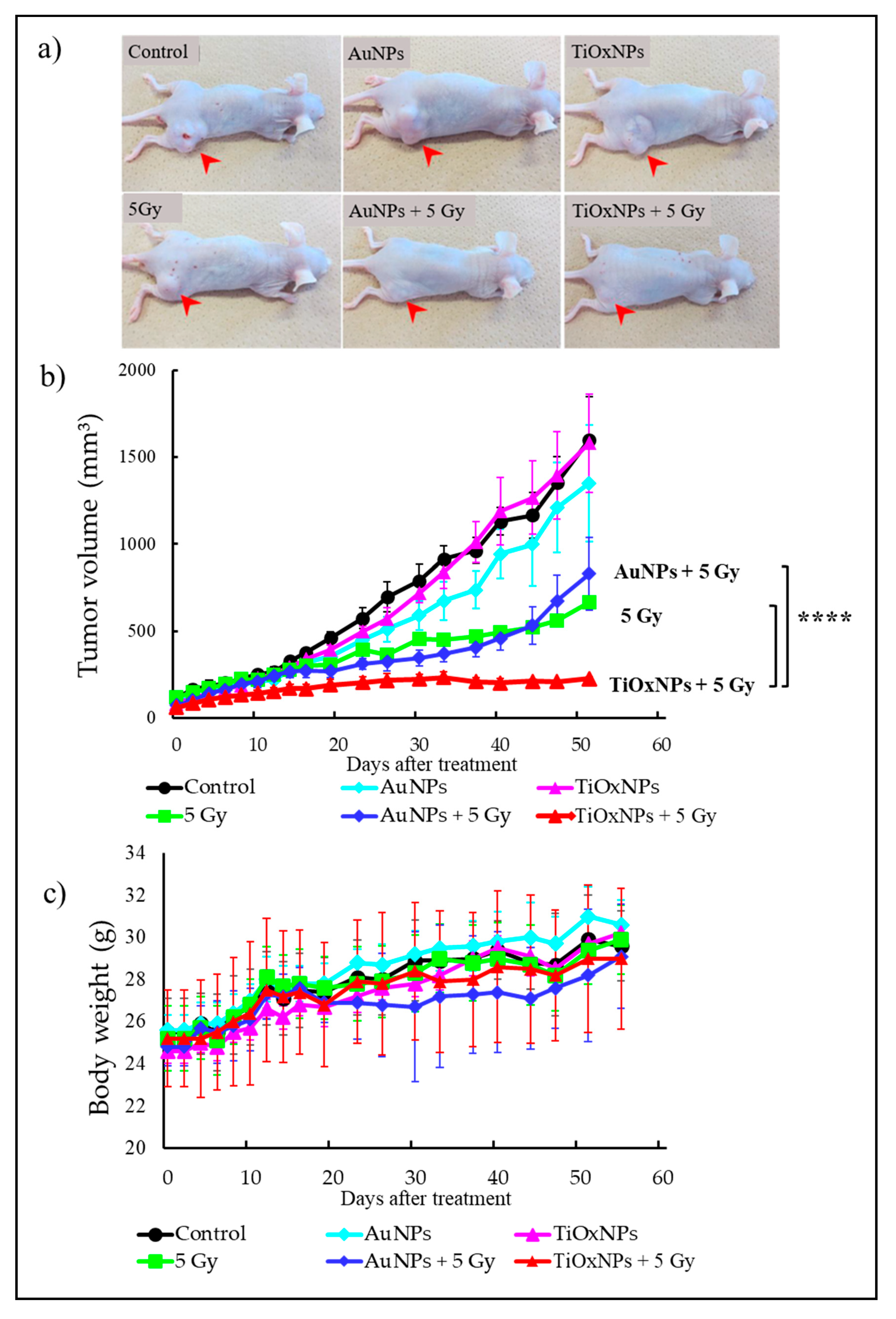 Nanomaterials 10 01125 g005 Nanomaterials 10 01125 g005