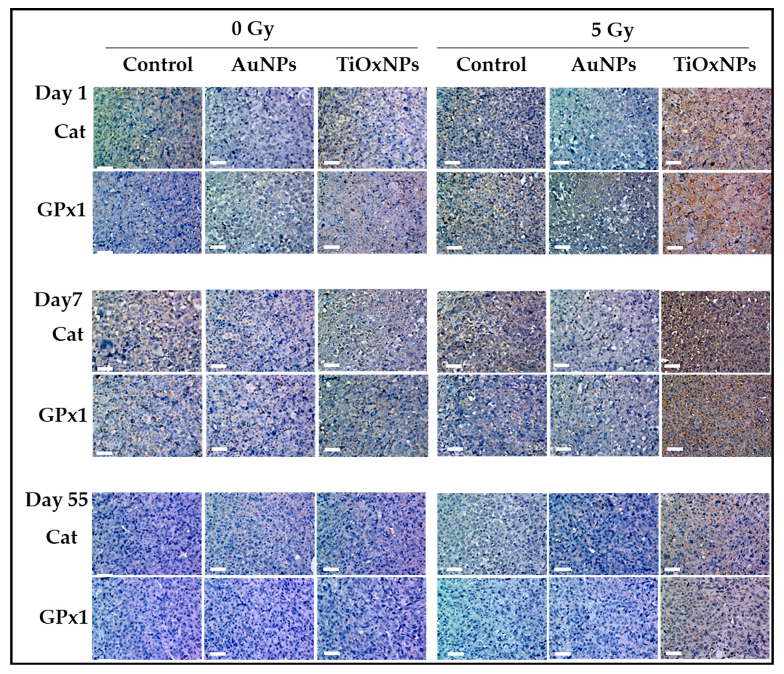 Nanomaterials 10 01125 g007 Nanomaterials 10 01125 g007