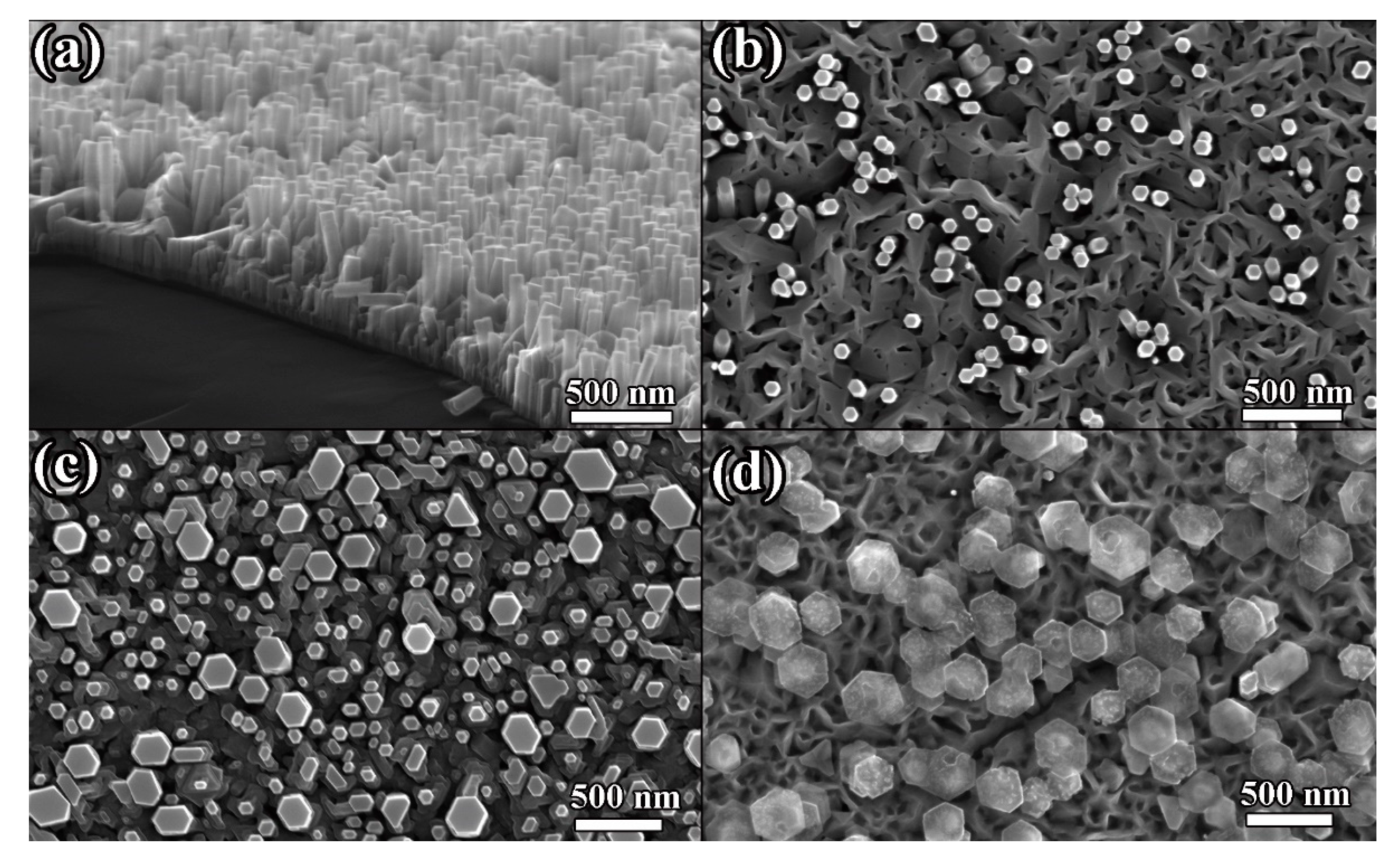 Nanomaterials 10 01128 g004