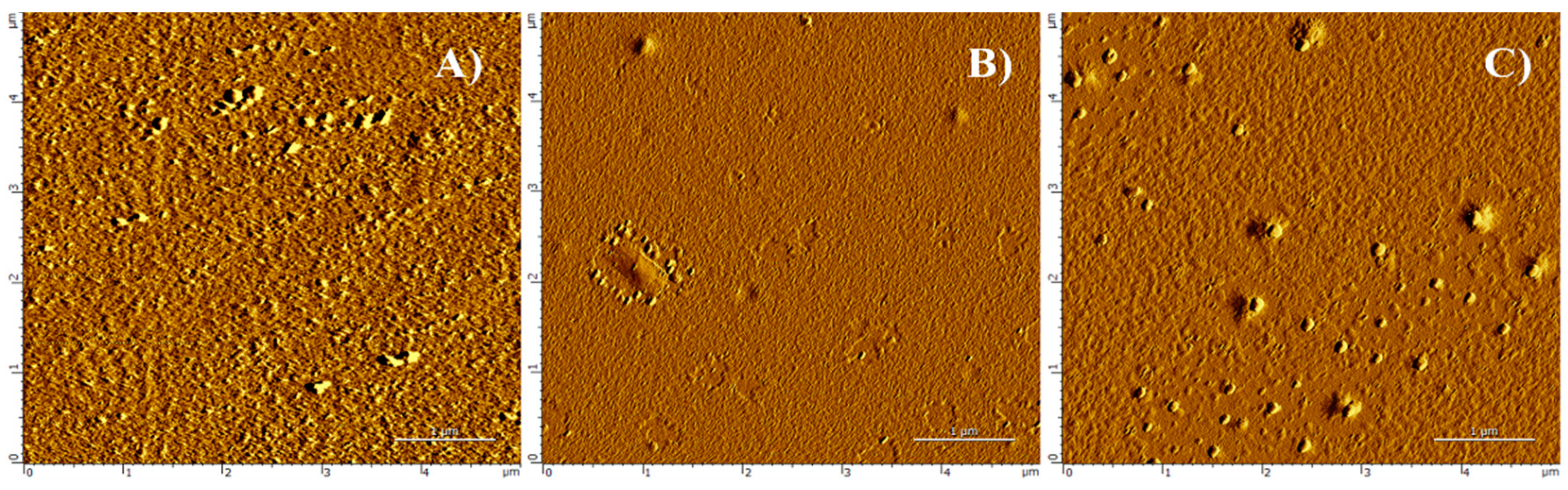 Nanomaterials 10 01132 g001