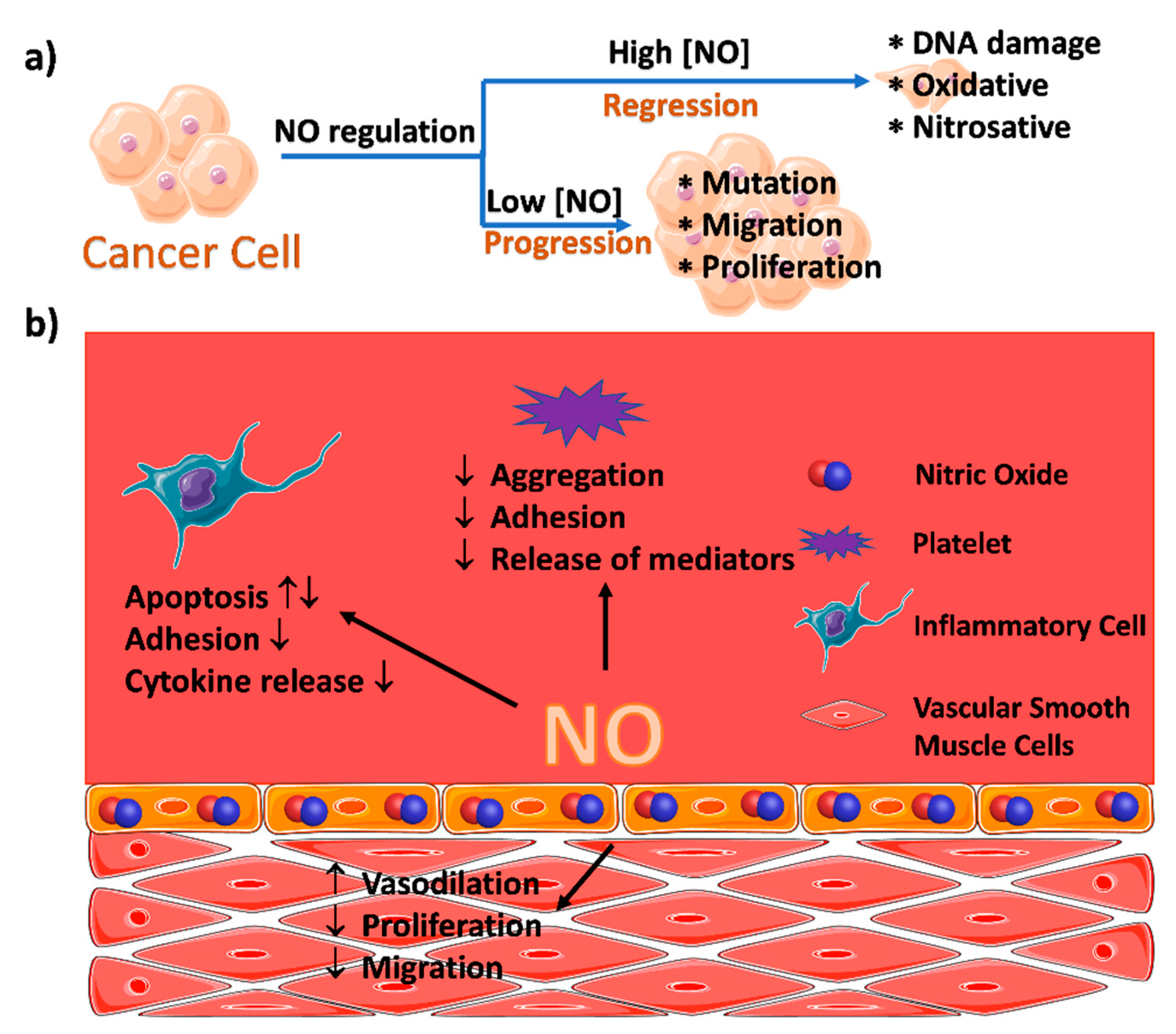 Nanomaterials 10 01134 g002