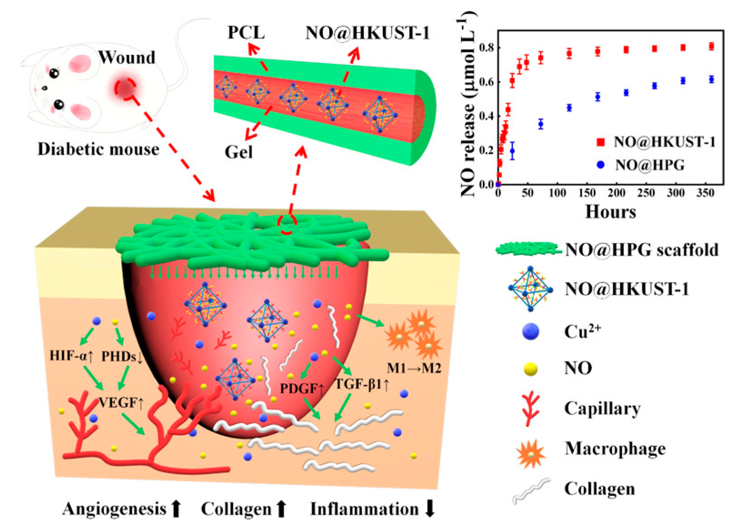 Nanomaterials 10 01134 g004