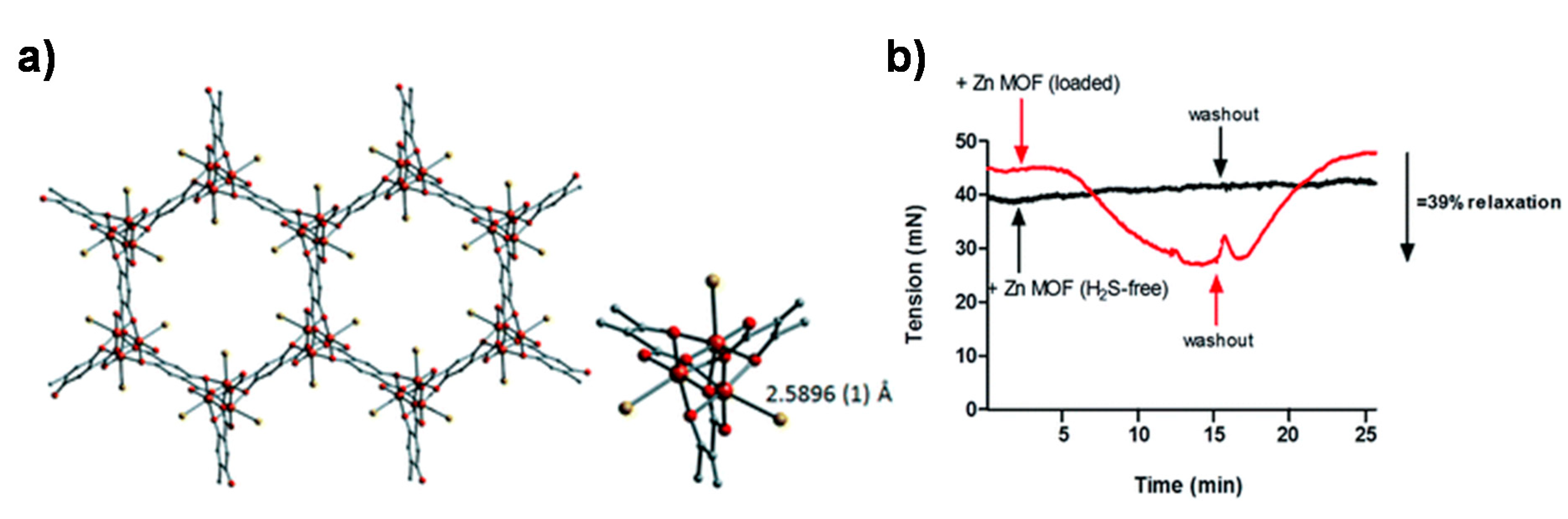 Nanomaterials 10 01134 g008