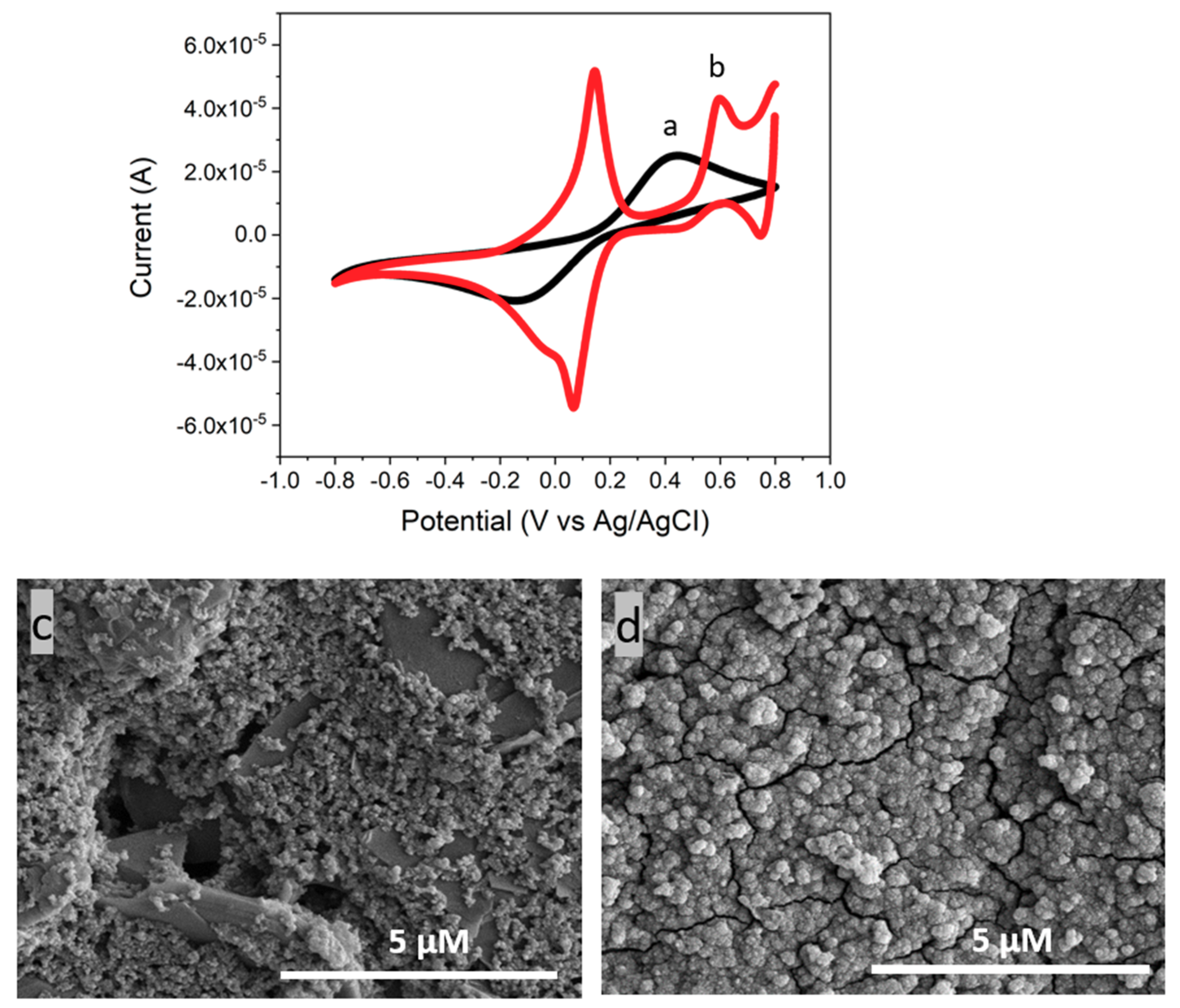 Nanomaterials 10 01136 g004
