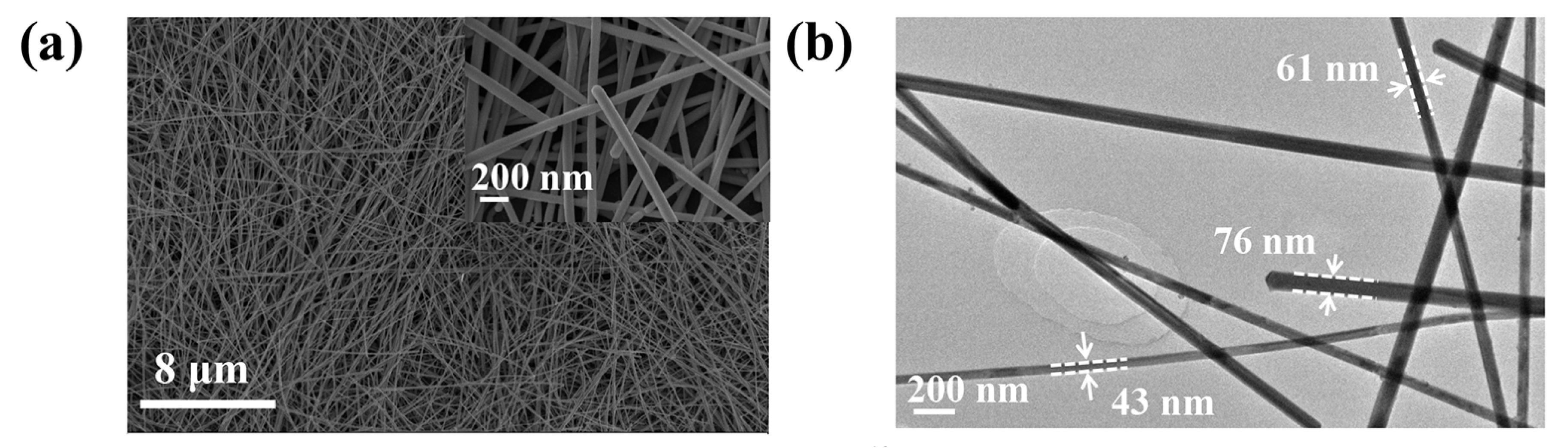Nanomaterials 10 01139 g002 Nanomaterials 10 01139 g002