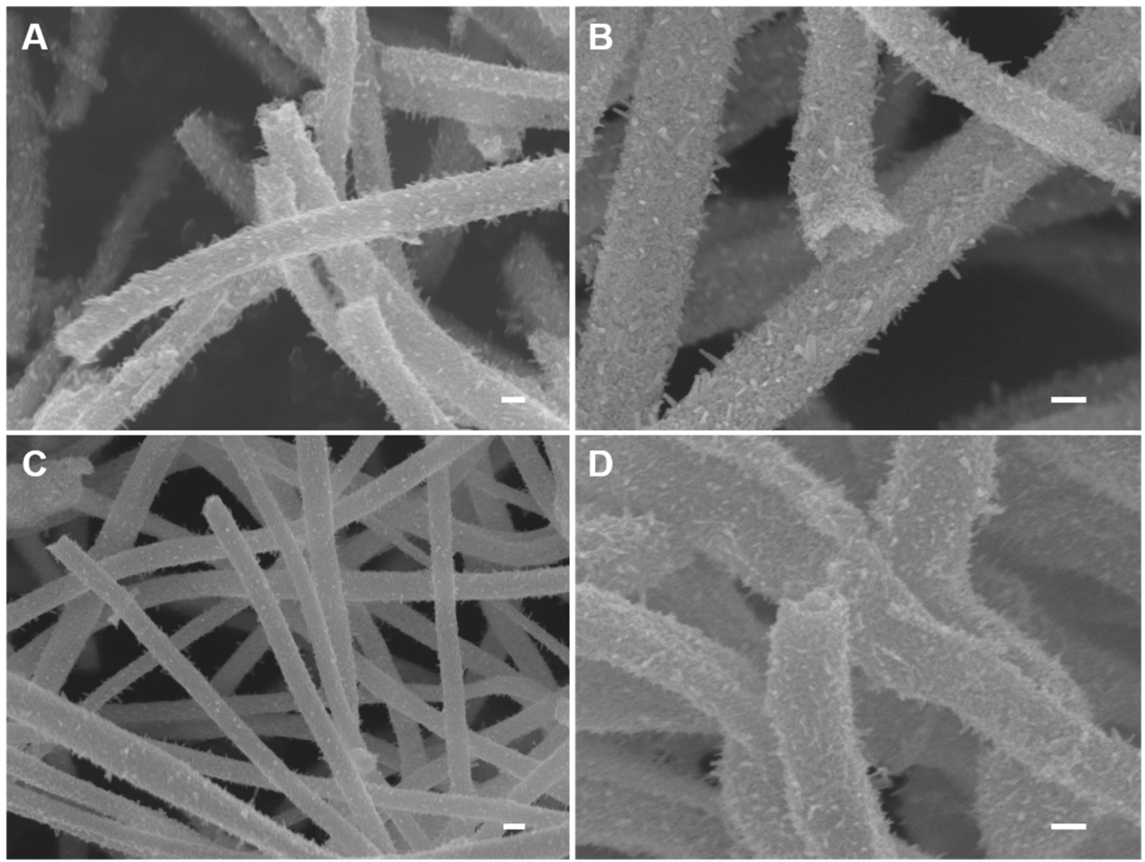 Nanomaterials 10 01140 g001