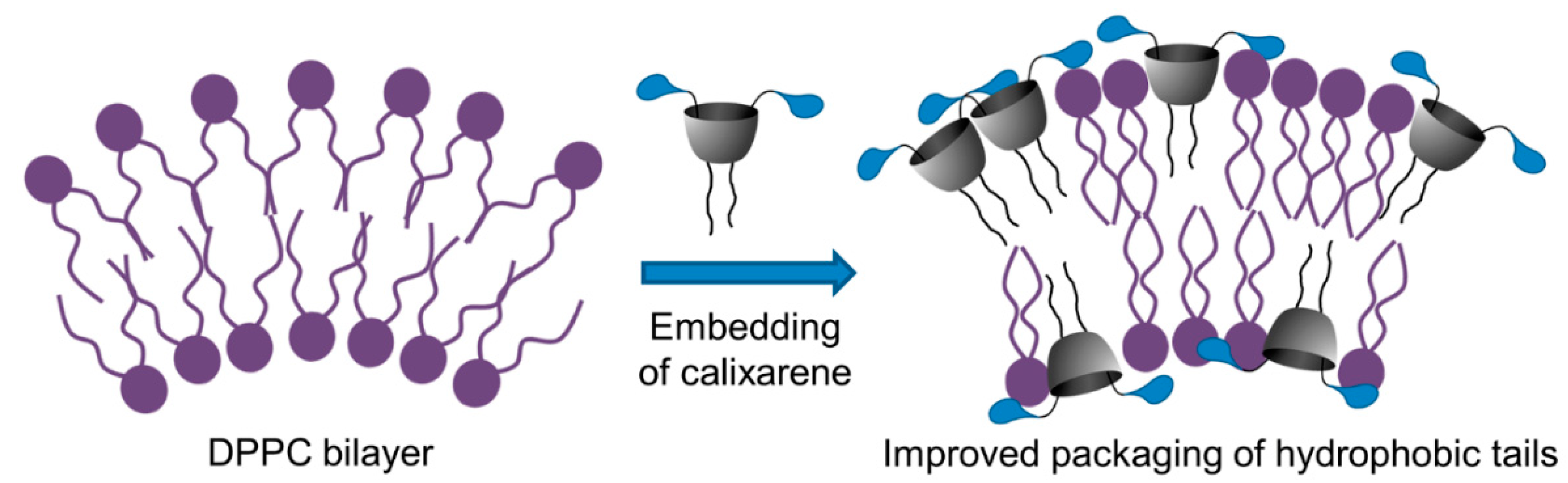 Nanomaterials 10 01143 g004