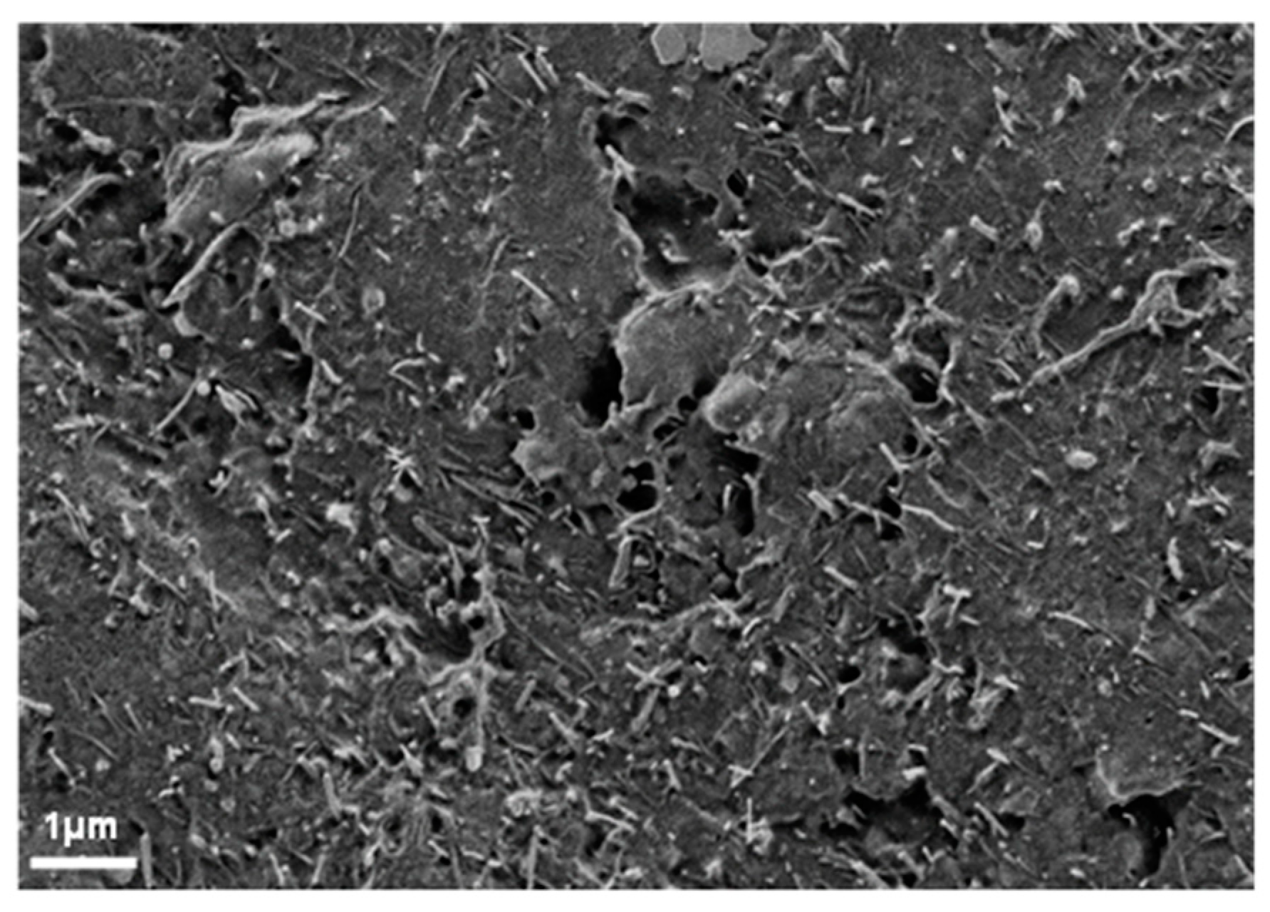 Nanomaterials 10 01144 g006