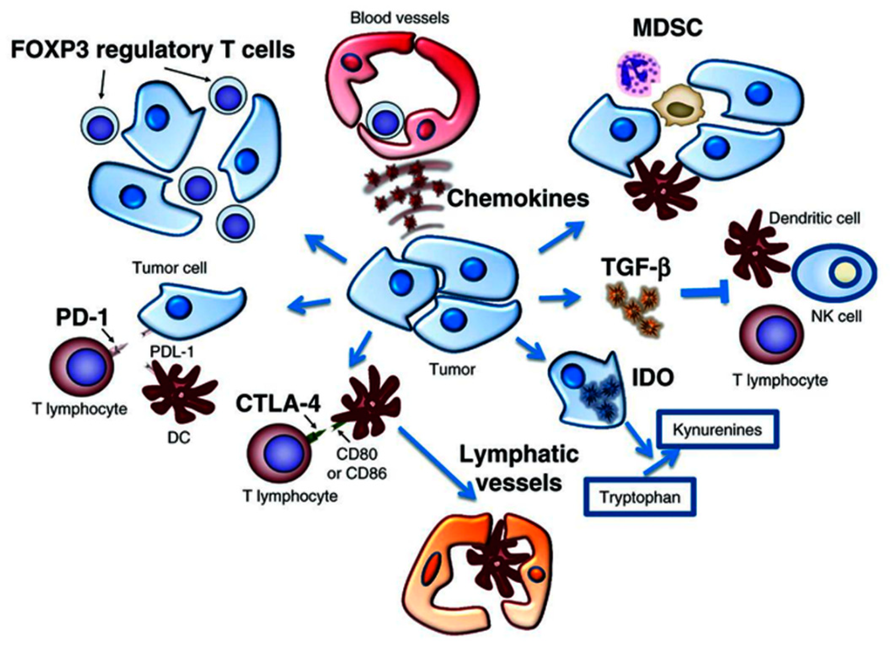 Nanomaterials 10 01145 g001