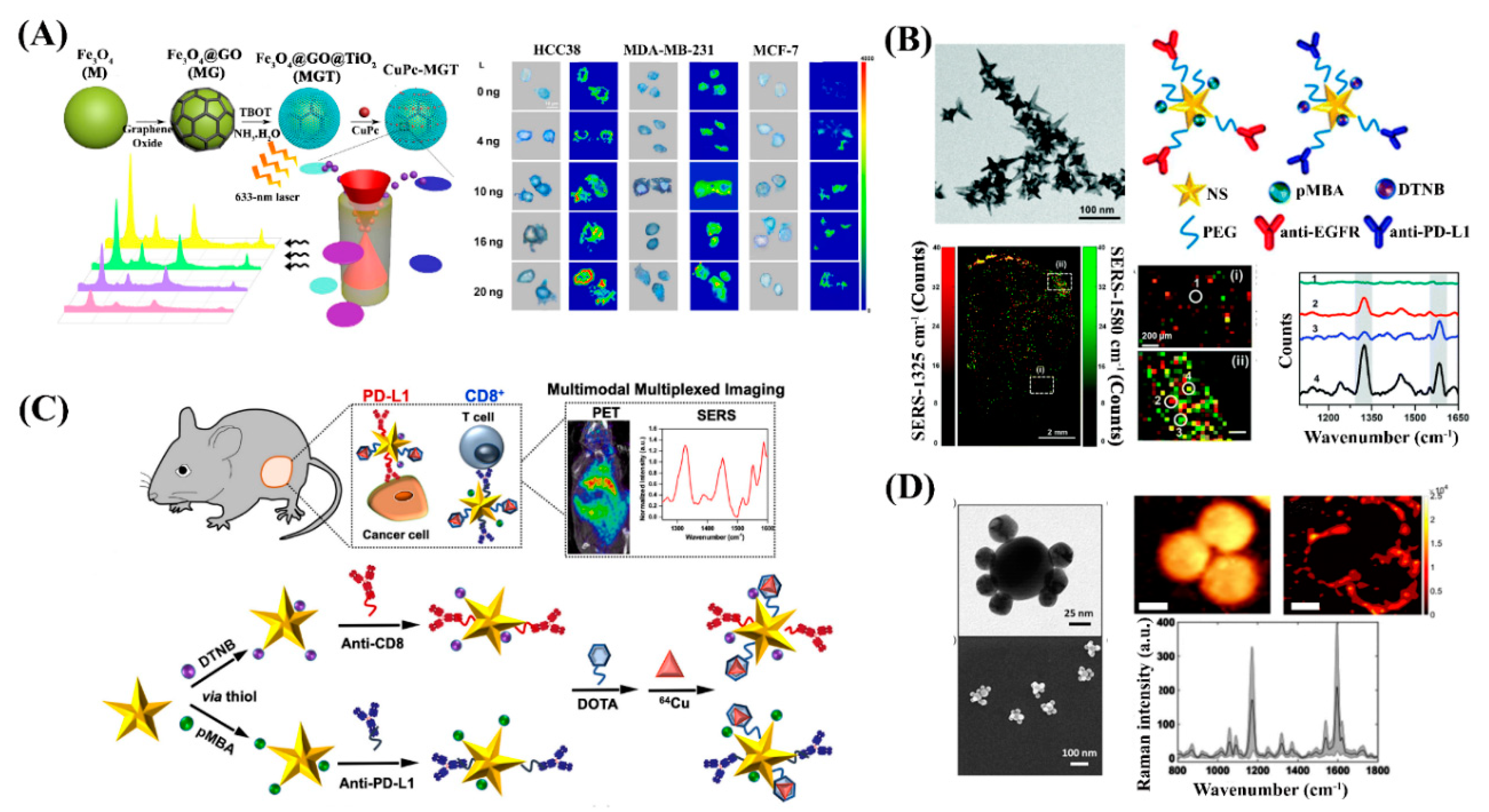 Nanomaterials 10 01145 g003