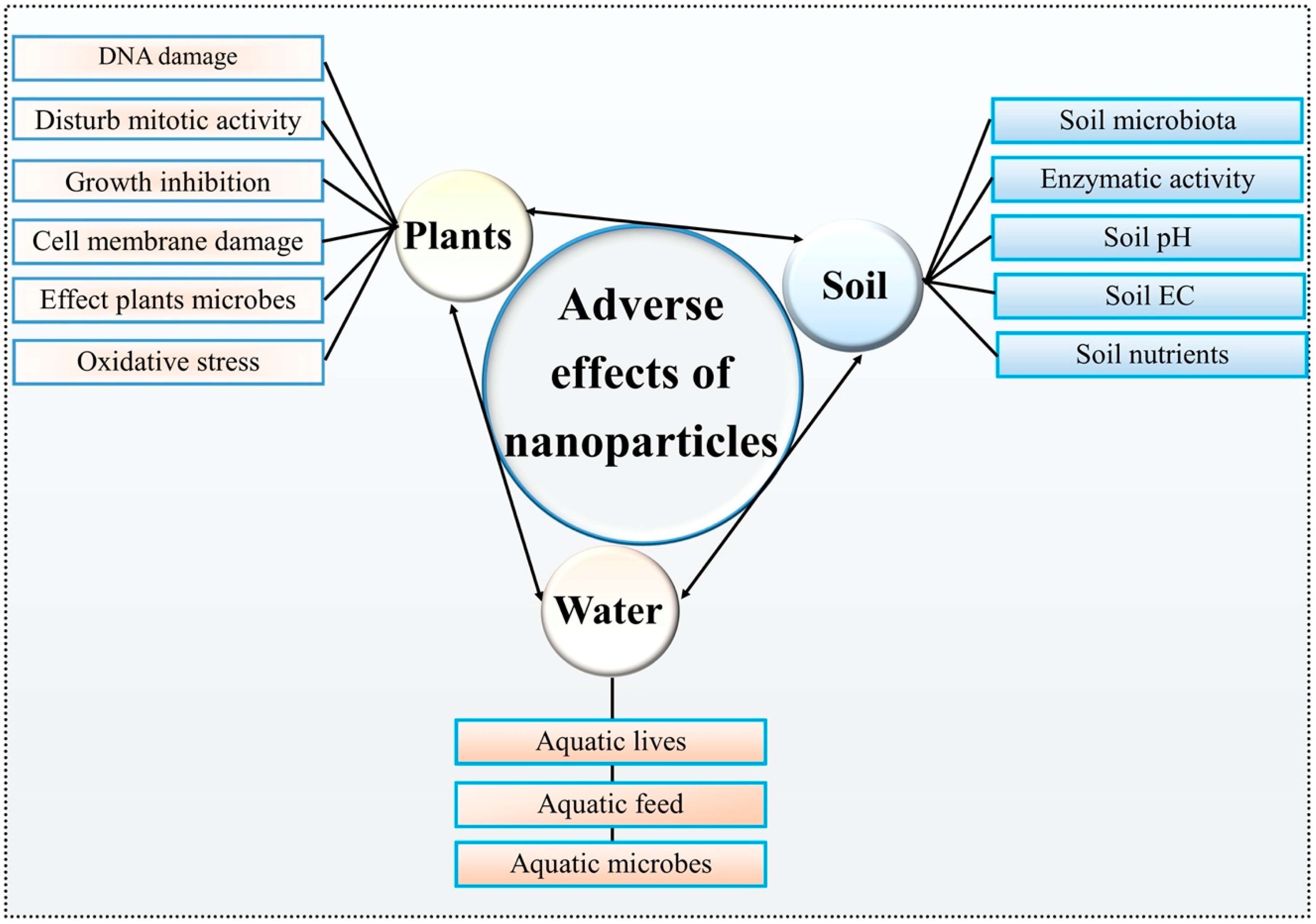 Nanomaterials 10 01146 g003