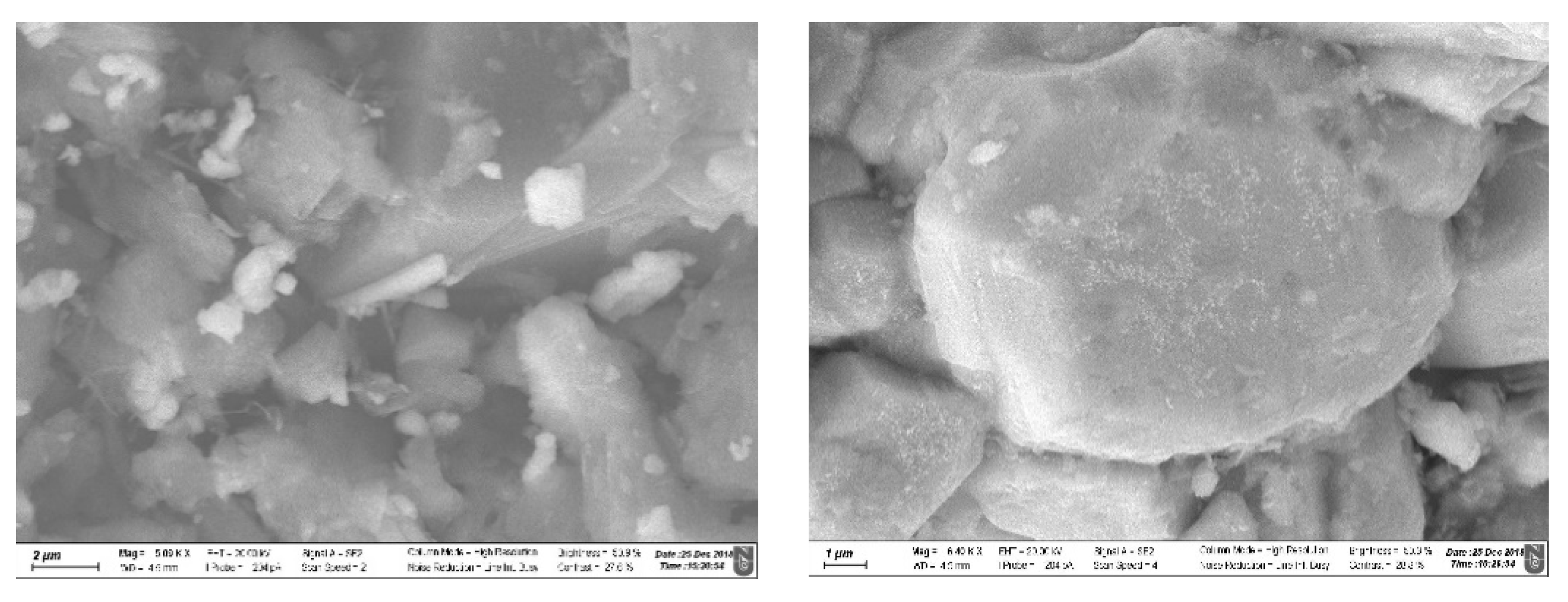 Nanomaterials 10 01156 g007 Nanomaterials 10 01156 g007