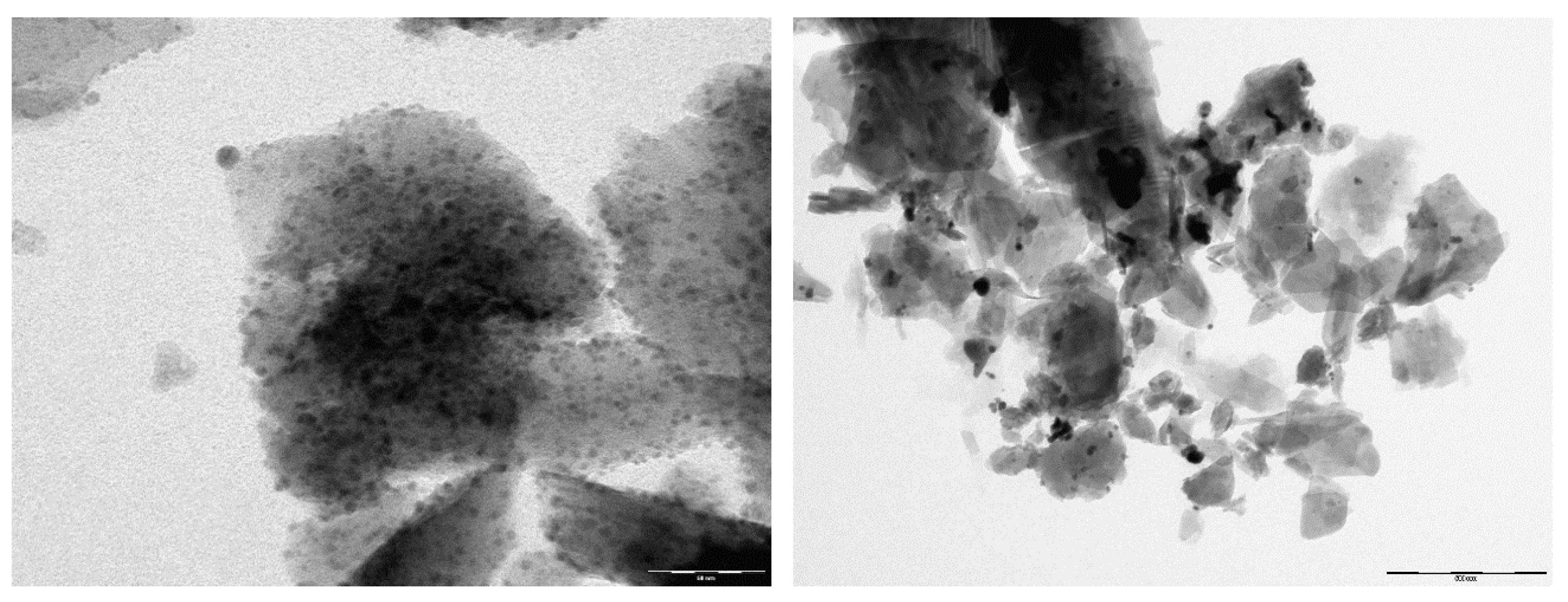 Nanomaterials 10 01156 g009 Nanomaterials 10 01156 g009