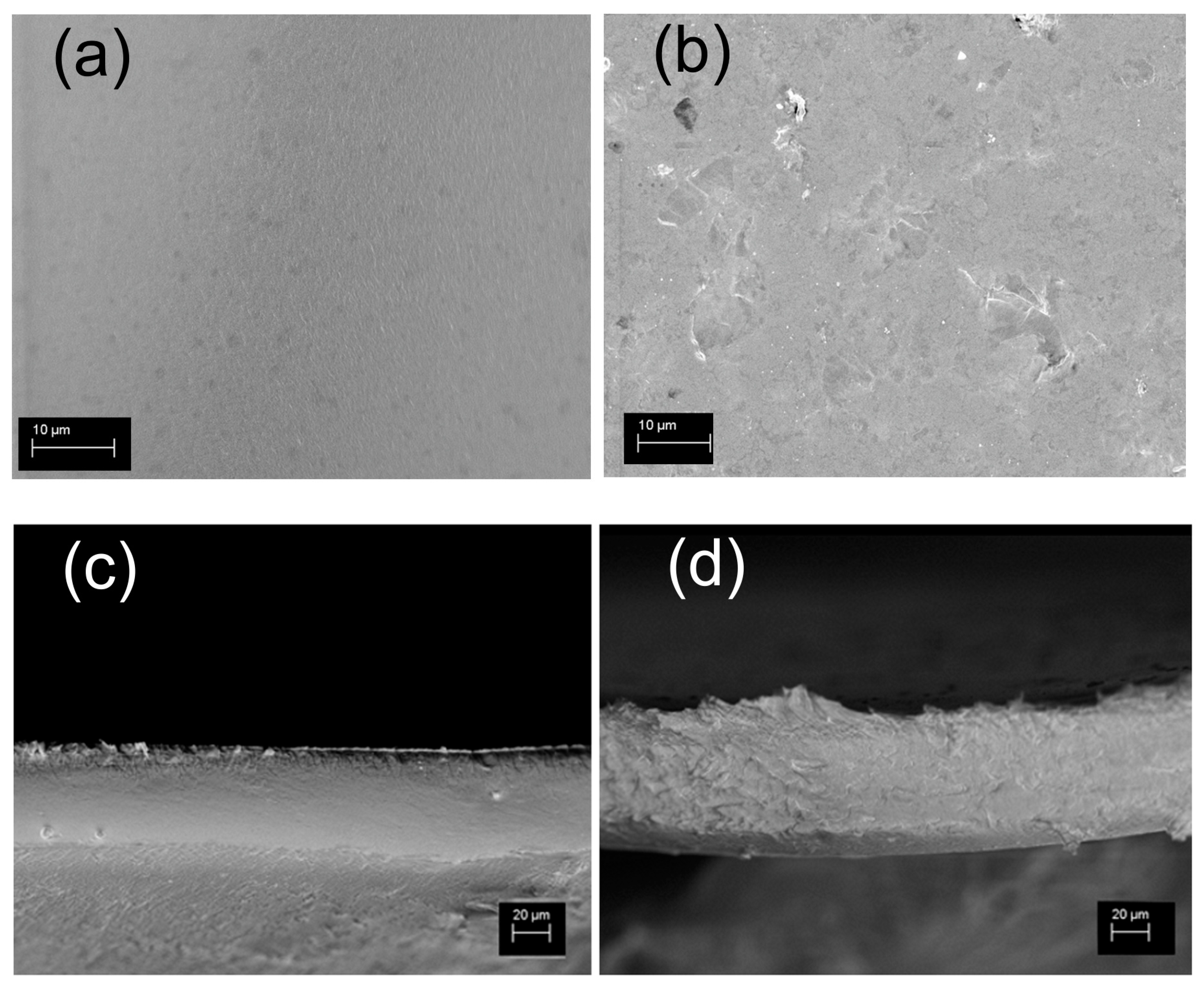 Nanomaterials 10 01157 g002