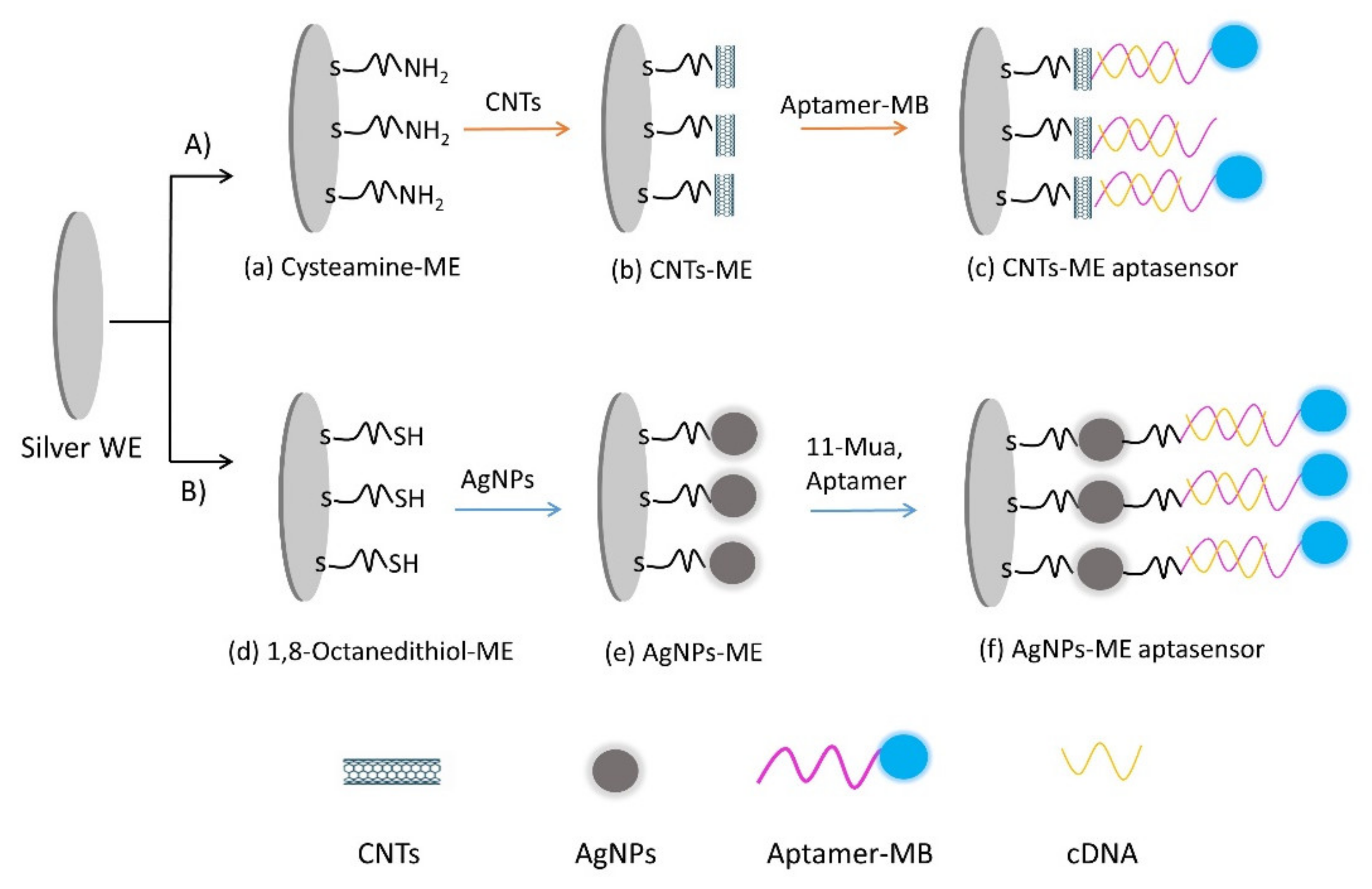 Nanomaterials 10 01167 g001