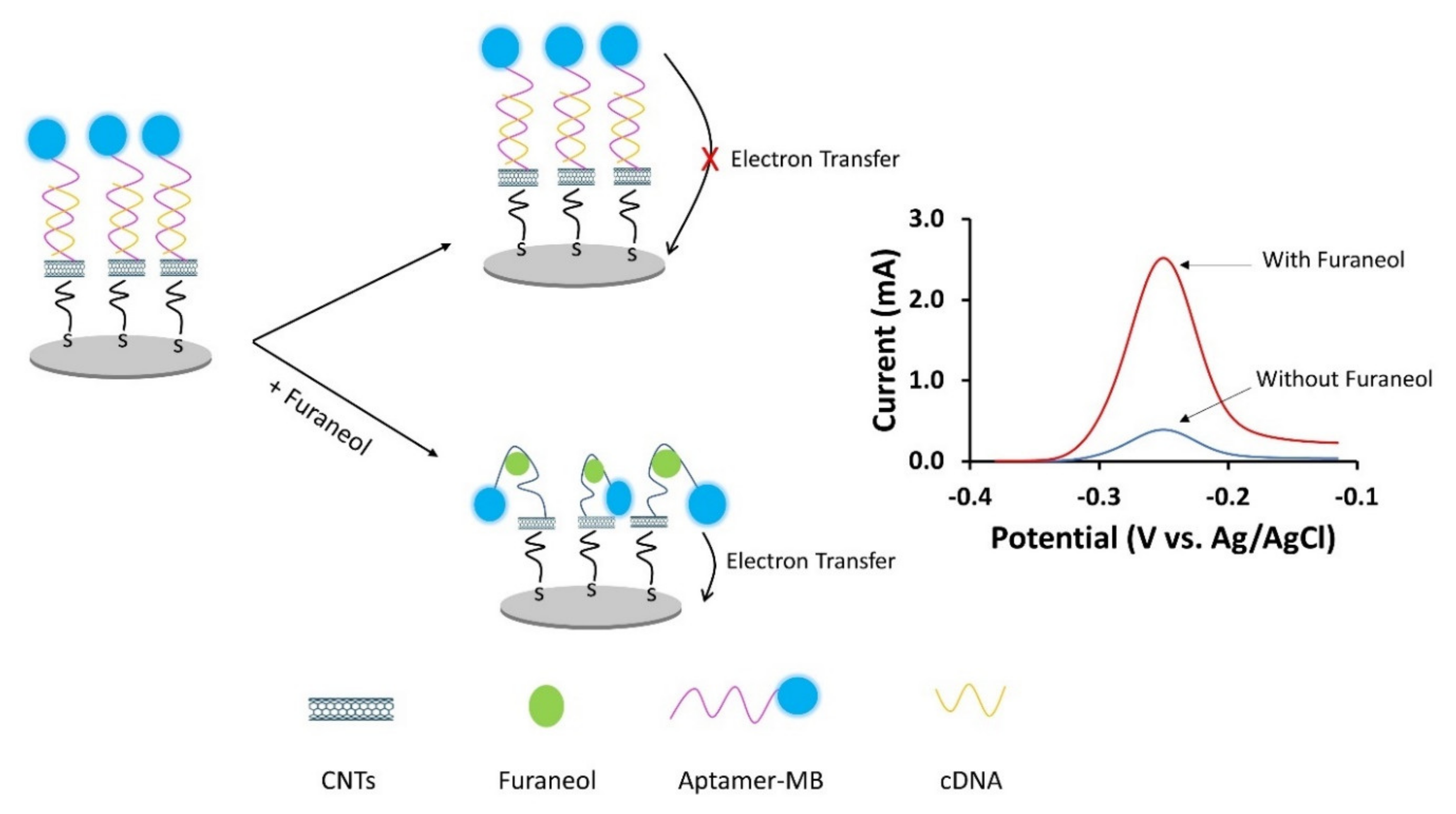 Nanomaterials 10 01167 g002
