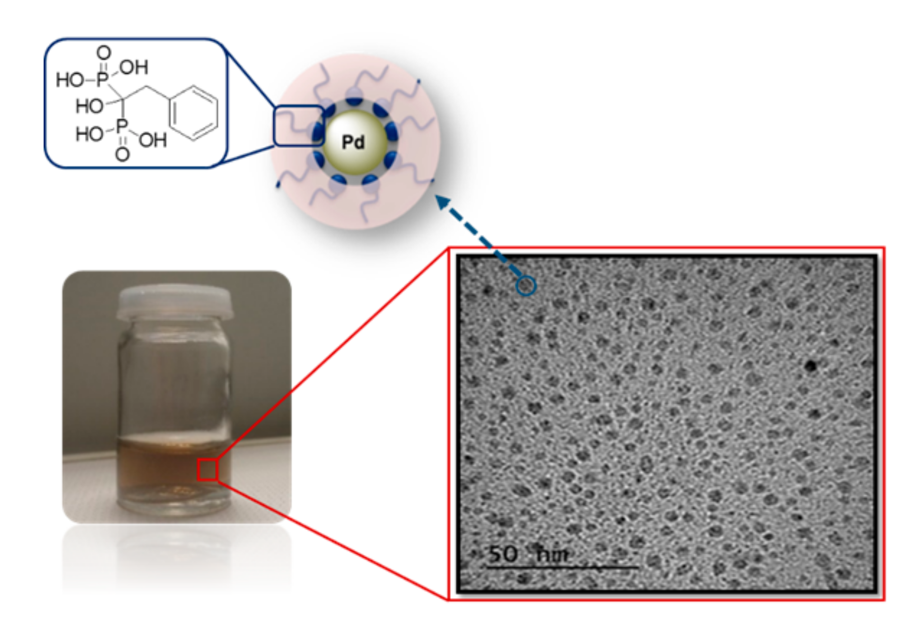 Nanomaterials 10 01169 g002 550