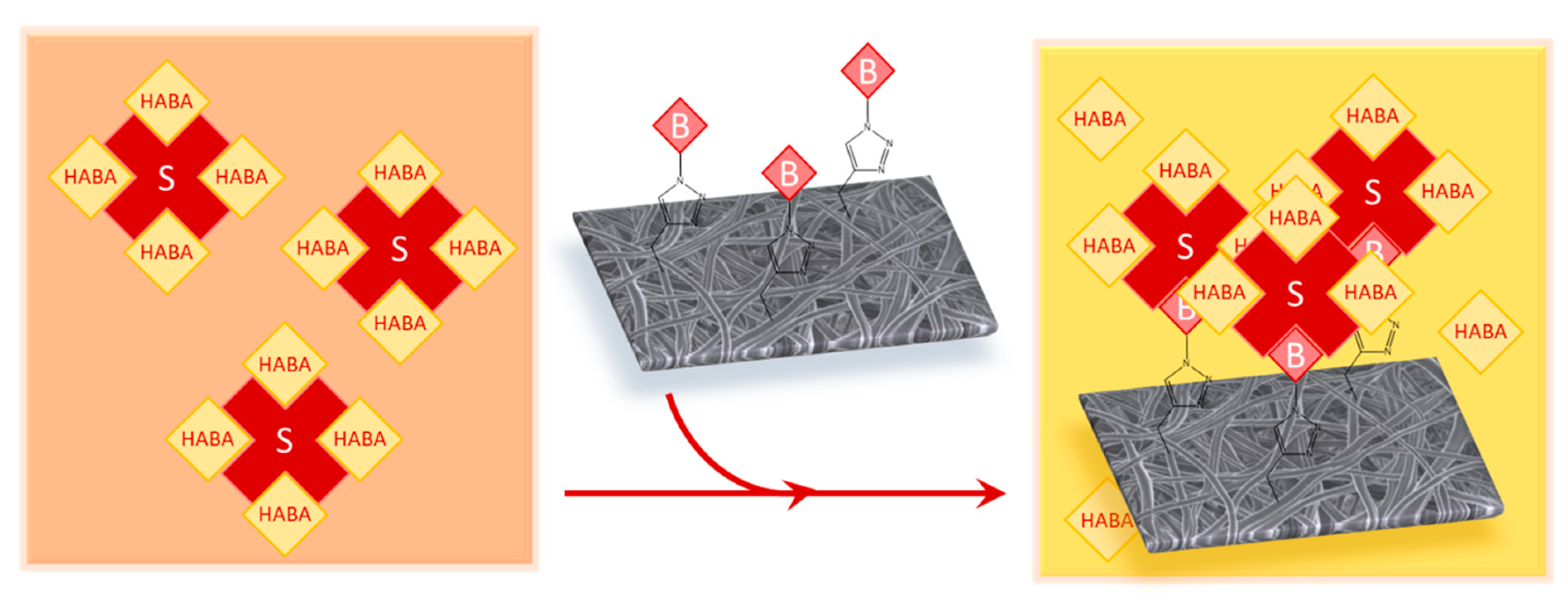 Nanomaterials 10 01172 g005