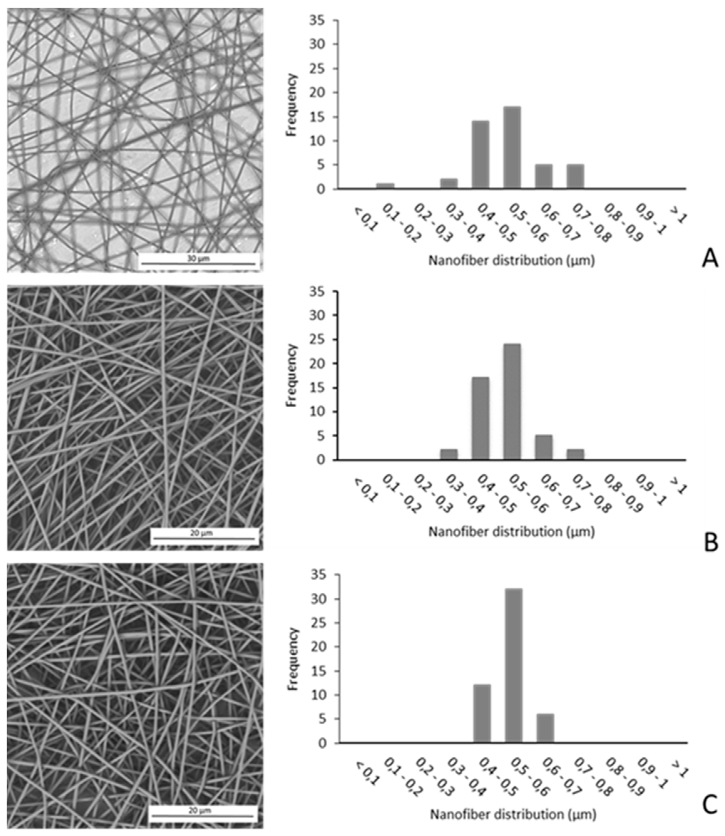 Nanomaterials 10 01175 g001