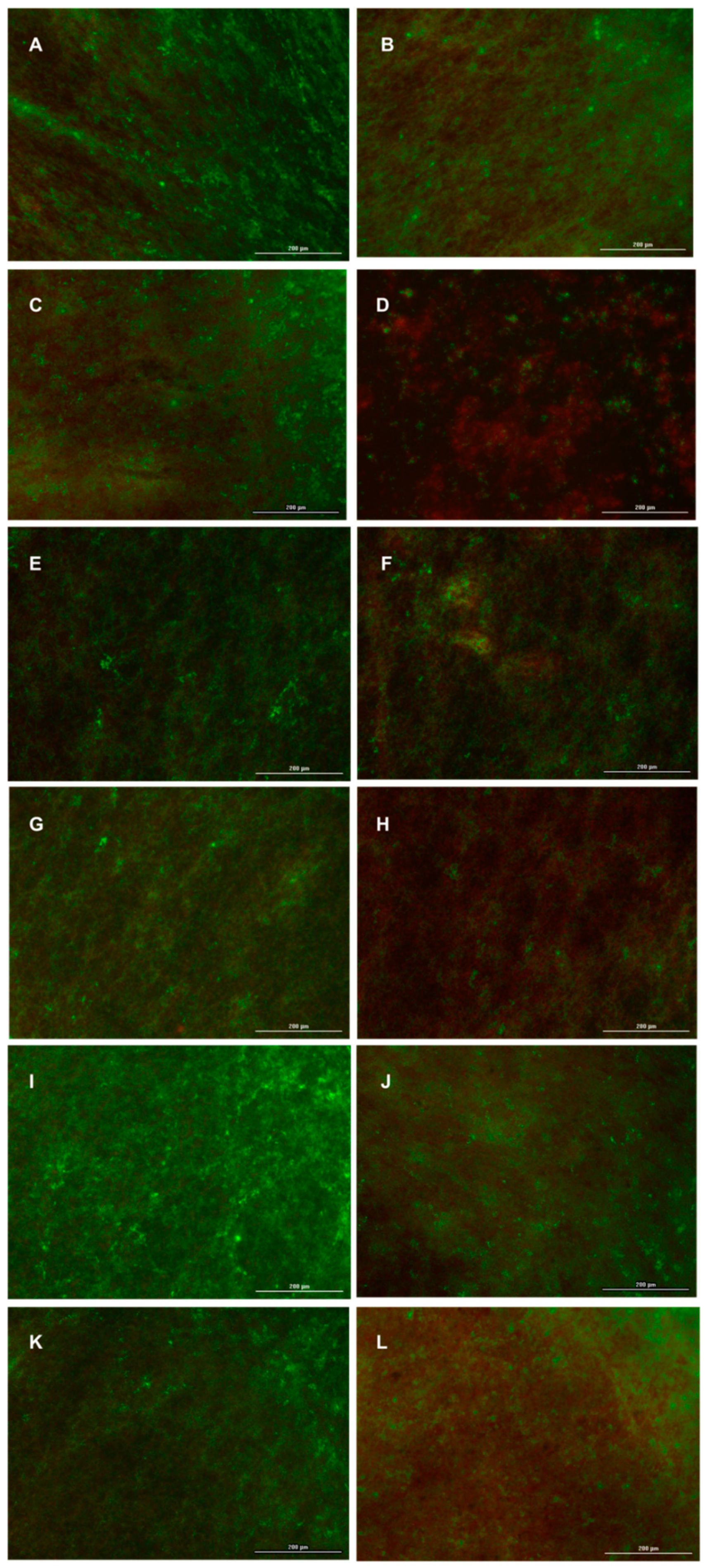Nanomaterials 10 01175 g010
