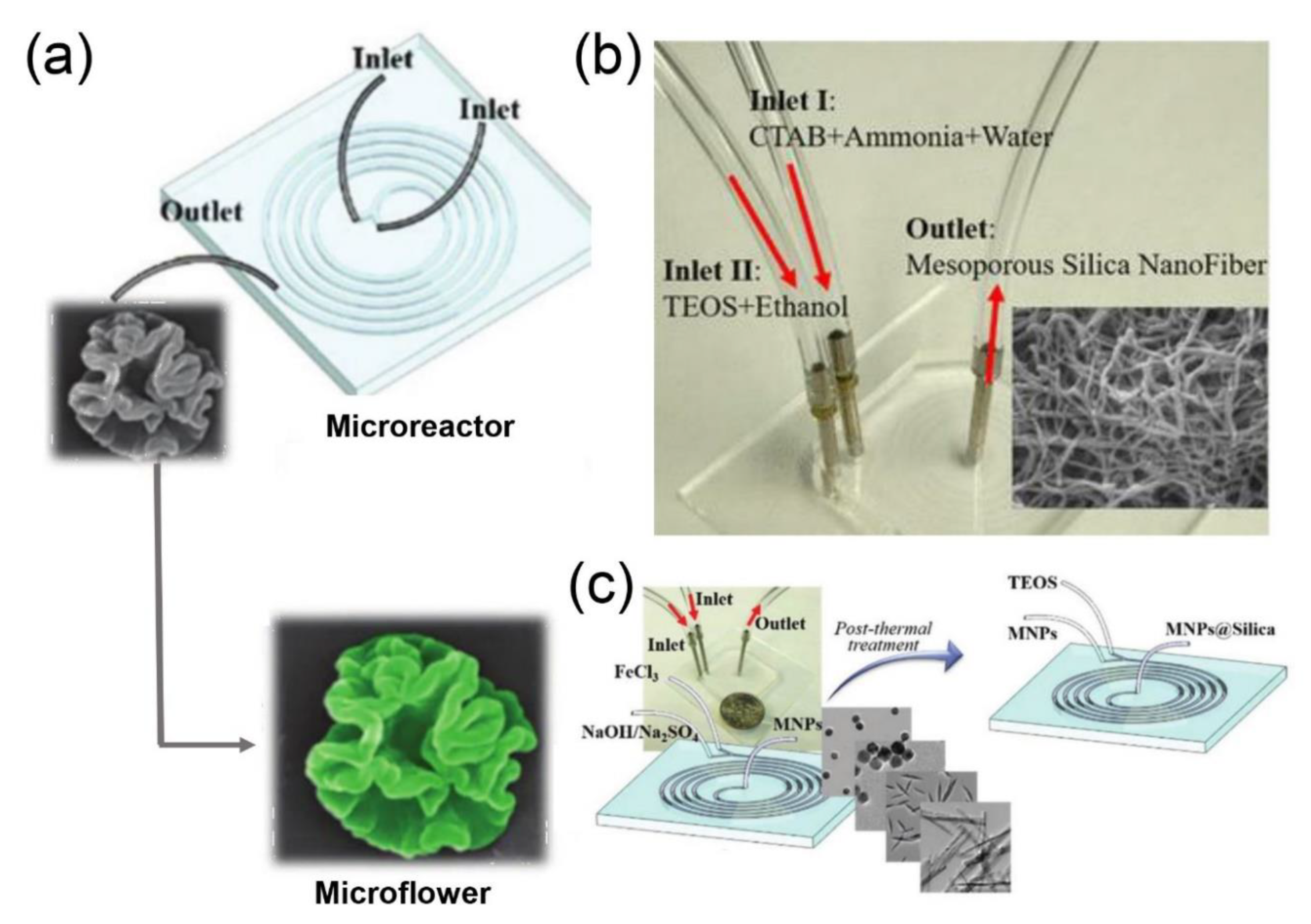 Nanomaterials 10 01177 g003 Nanomaterials 10 01177 g003