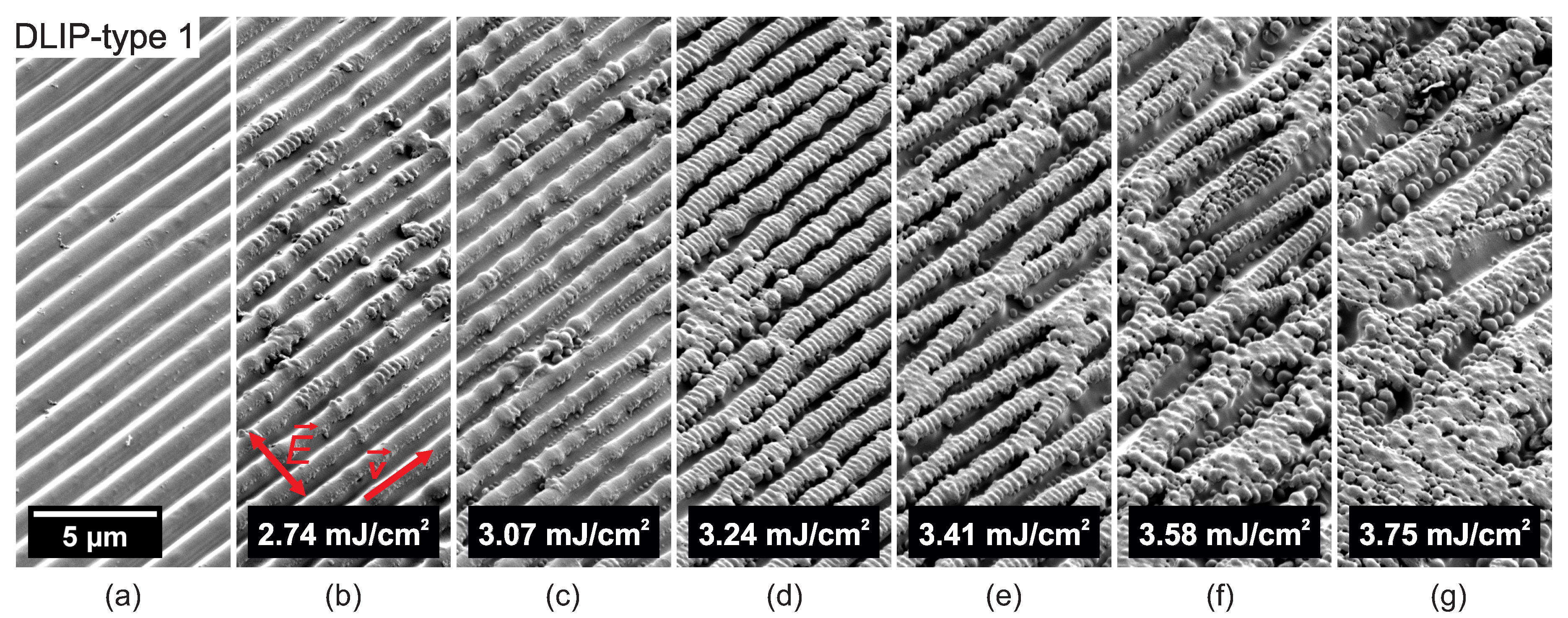 Nanomaterials 10 01184 g005