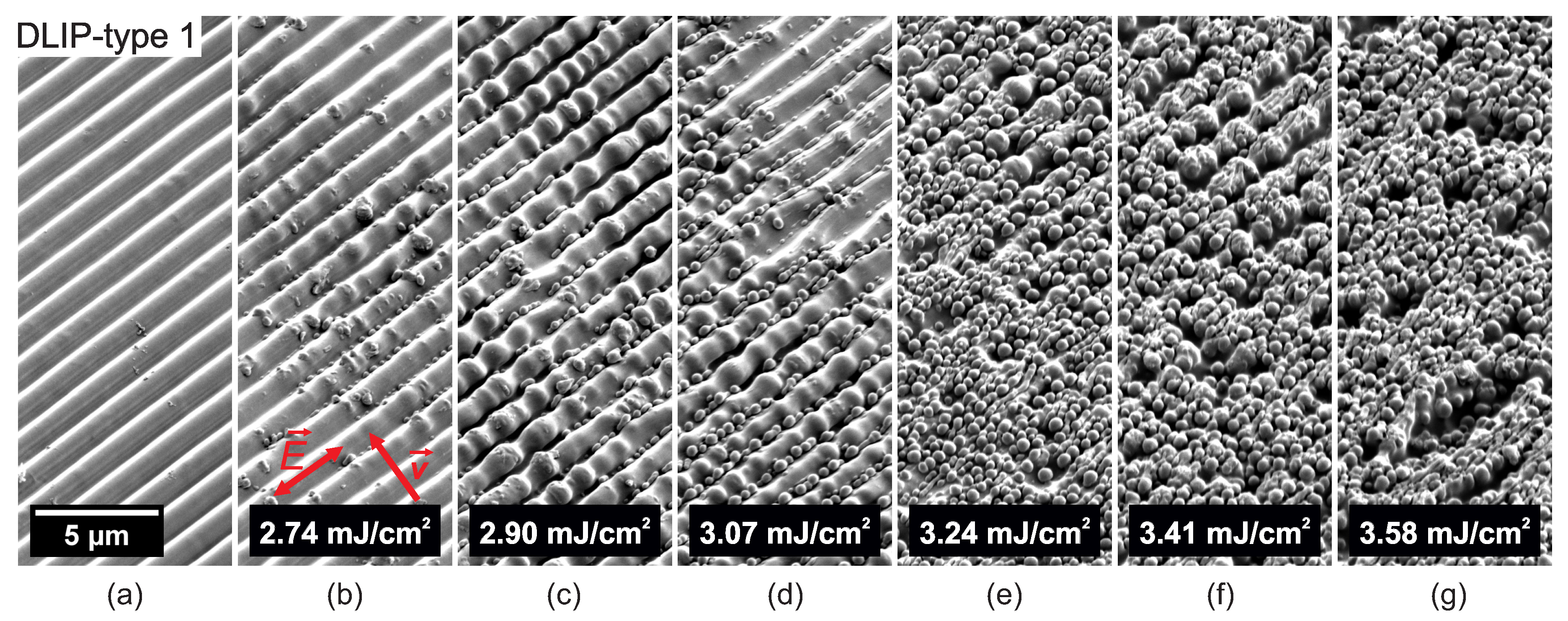 Nanomaterials 10 01184 g006