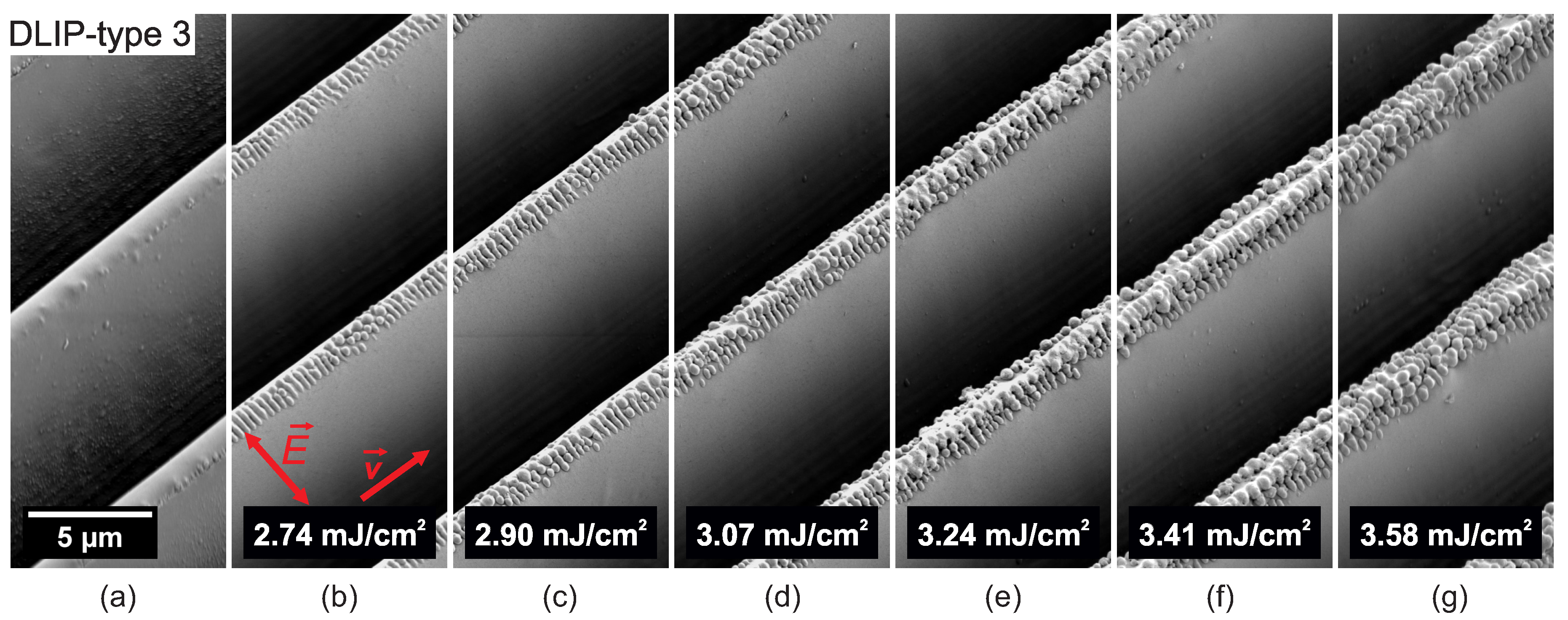 Nanomaterials 10 01184 g008