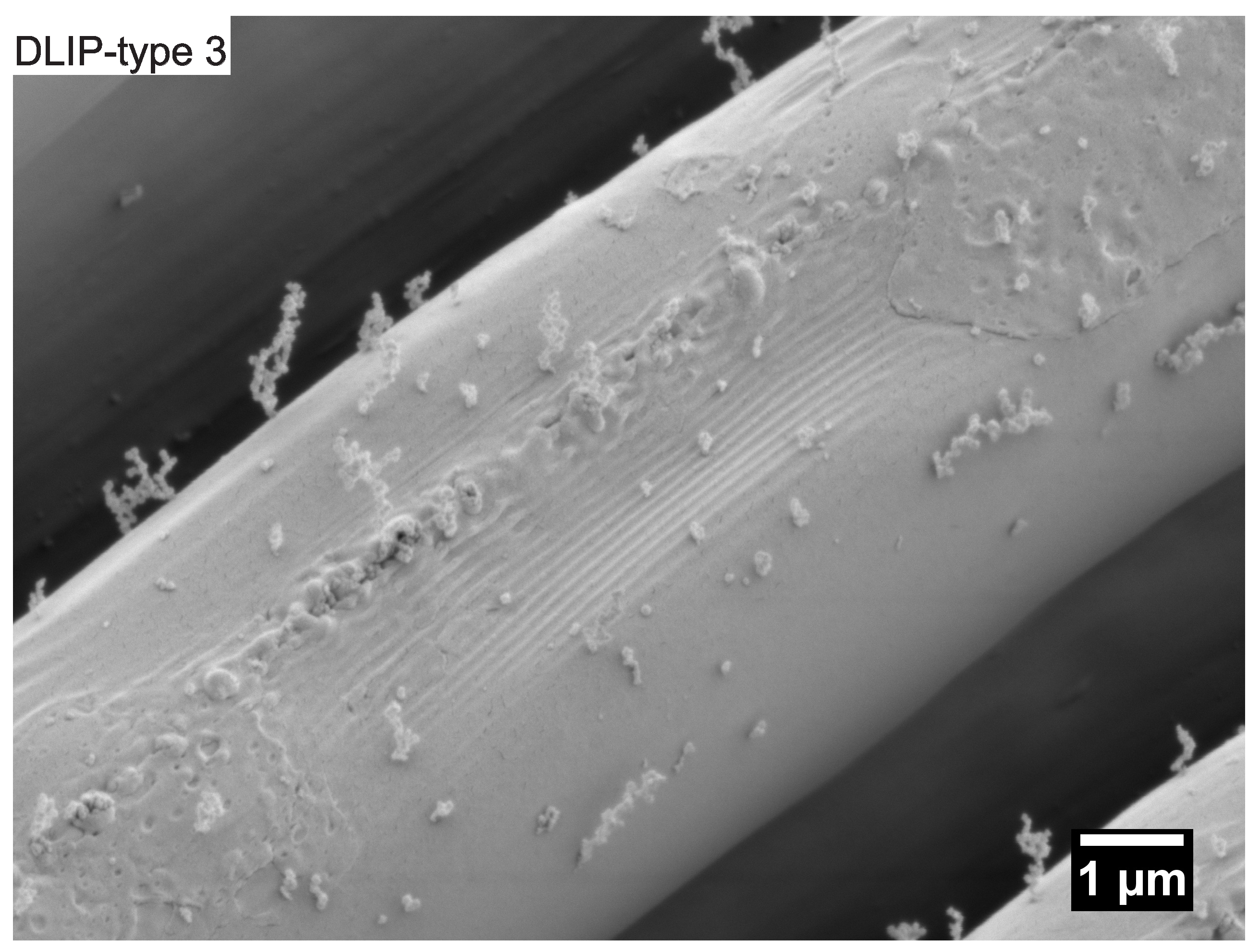 Nanomaterials 10 01184 g009