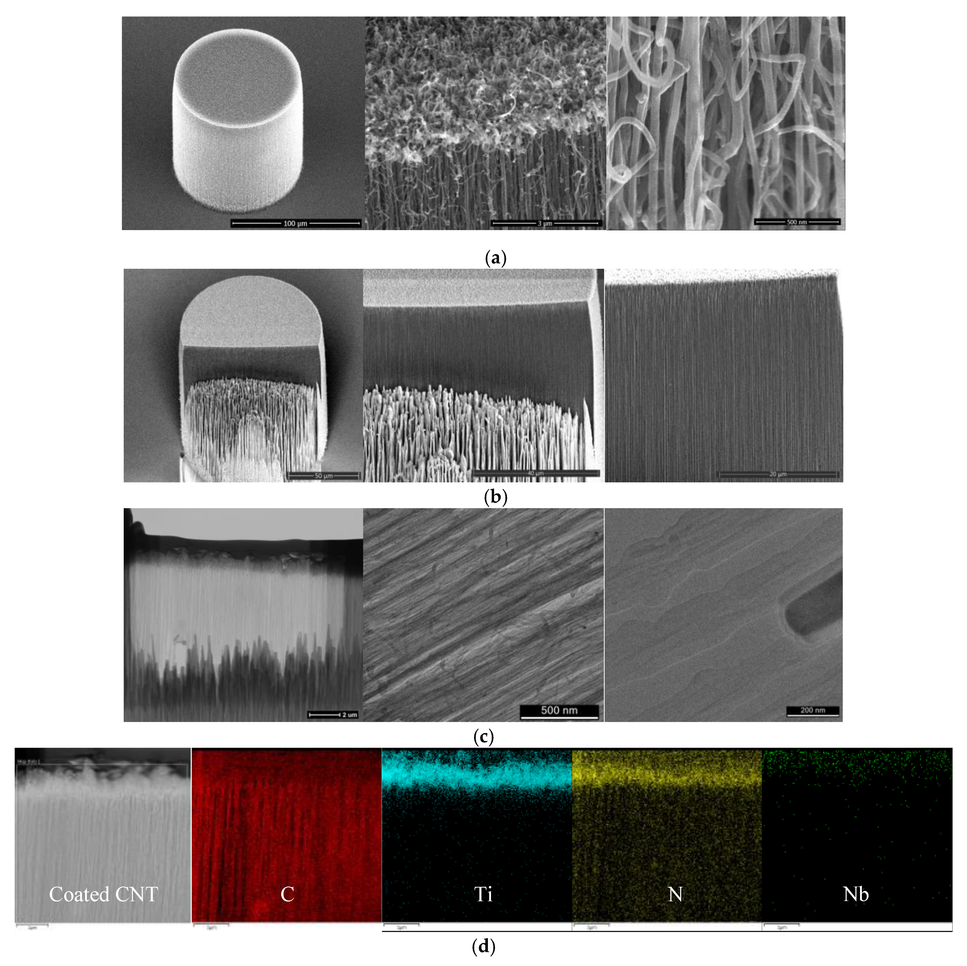 Nanomaterials 10 01189 g003