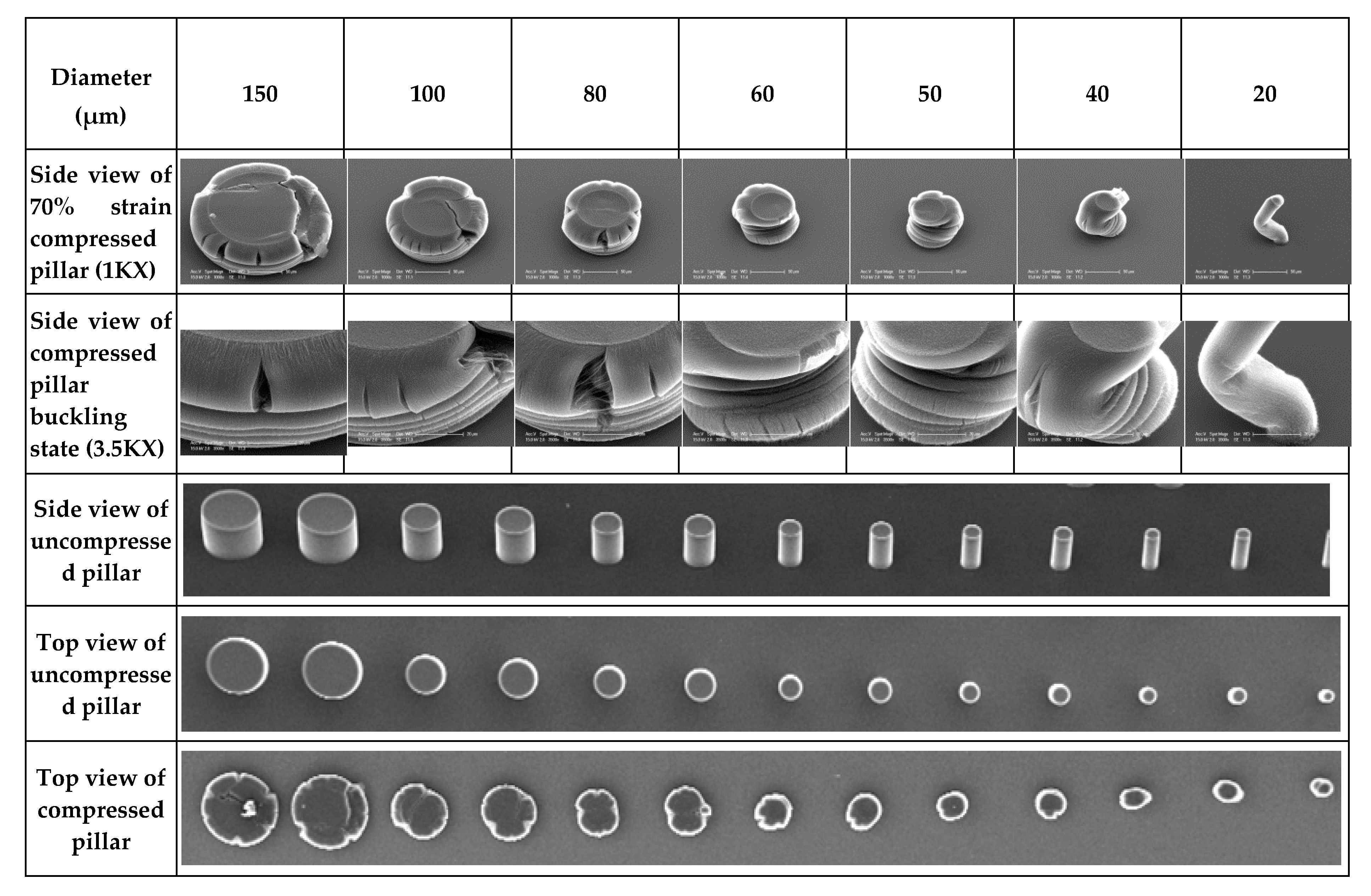 Nanomaterials 10 01189 g005