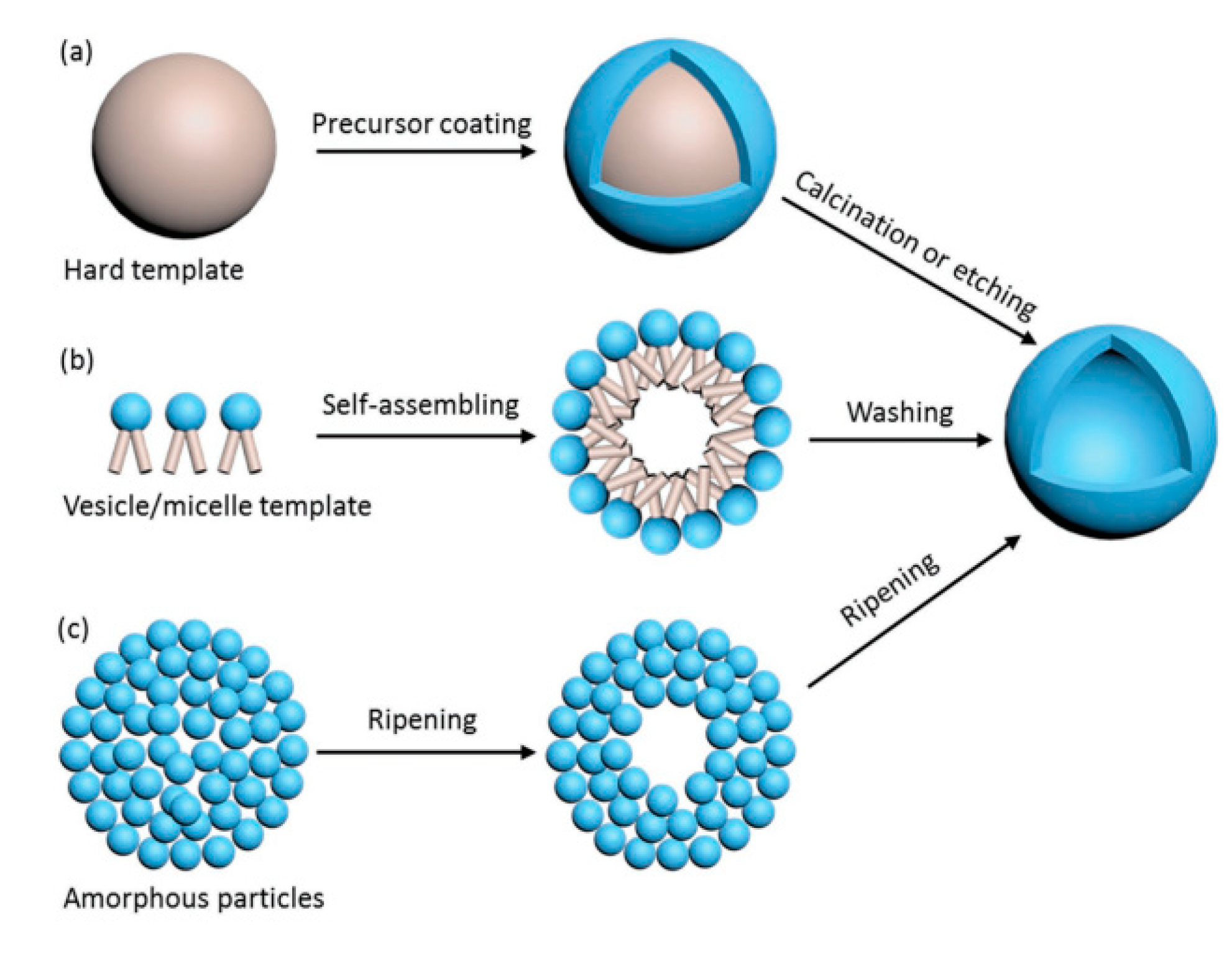 Nanomaterials 10 01190 g005