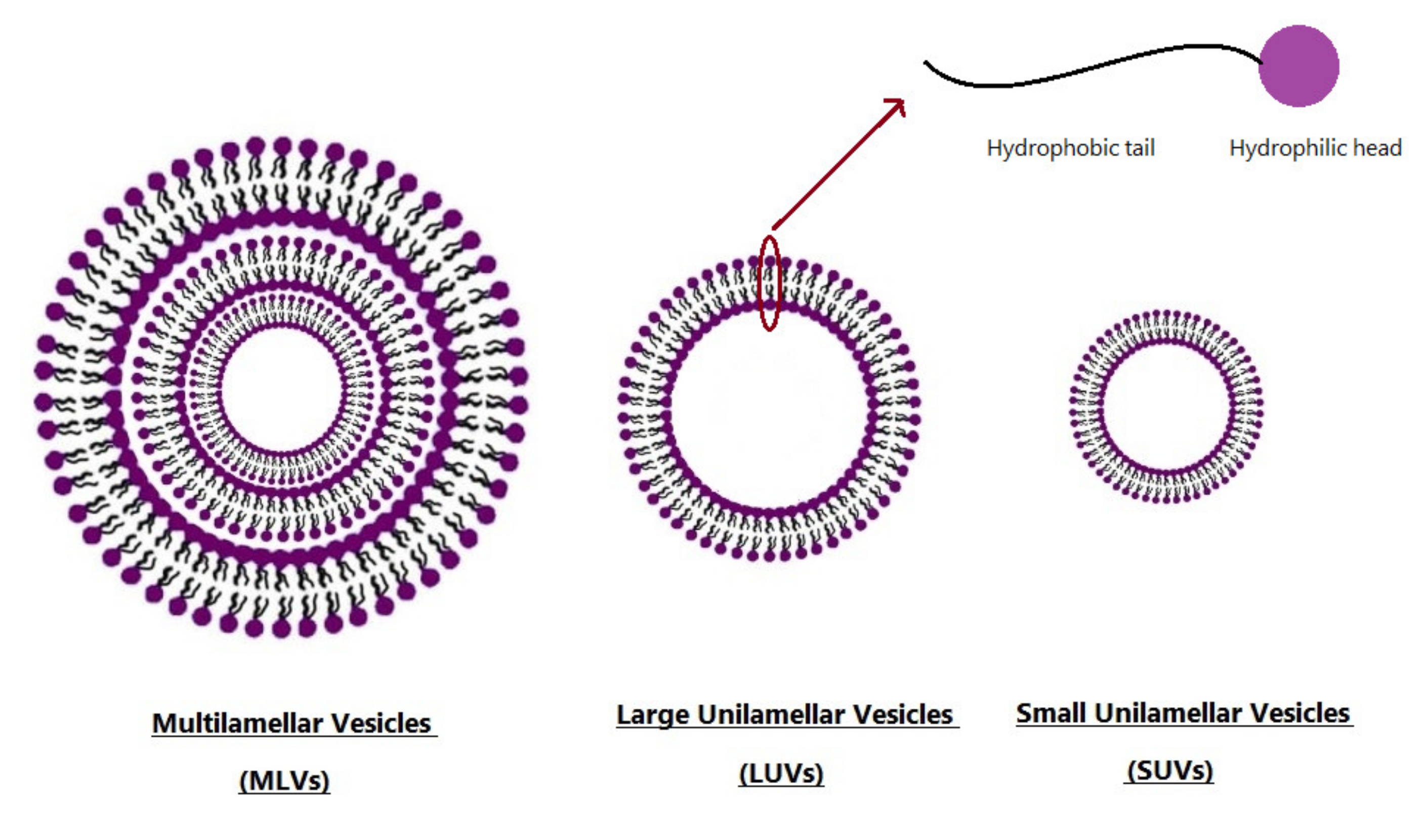 Nanomaterials 10 01191 g002 Nanomaterials 10 01191 g002
