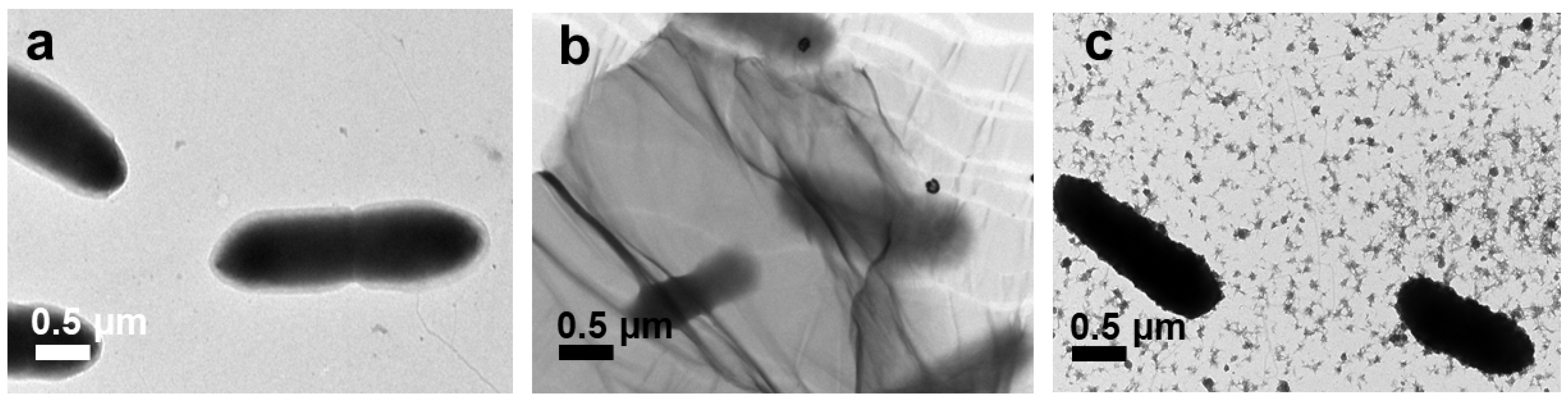 Nanomaterials 10 01207 g009 Nanomaterials 10 01207 g009