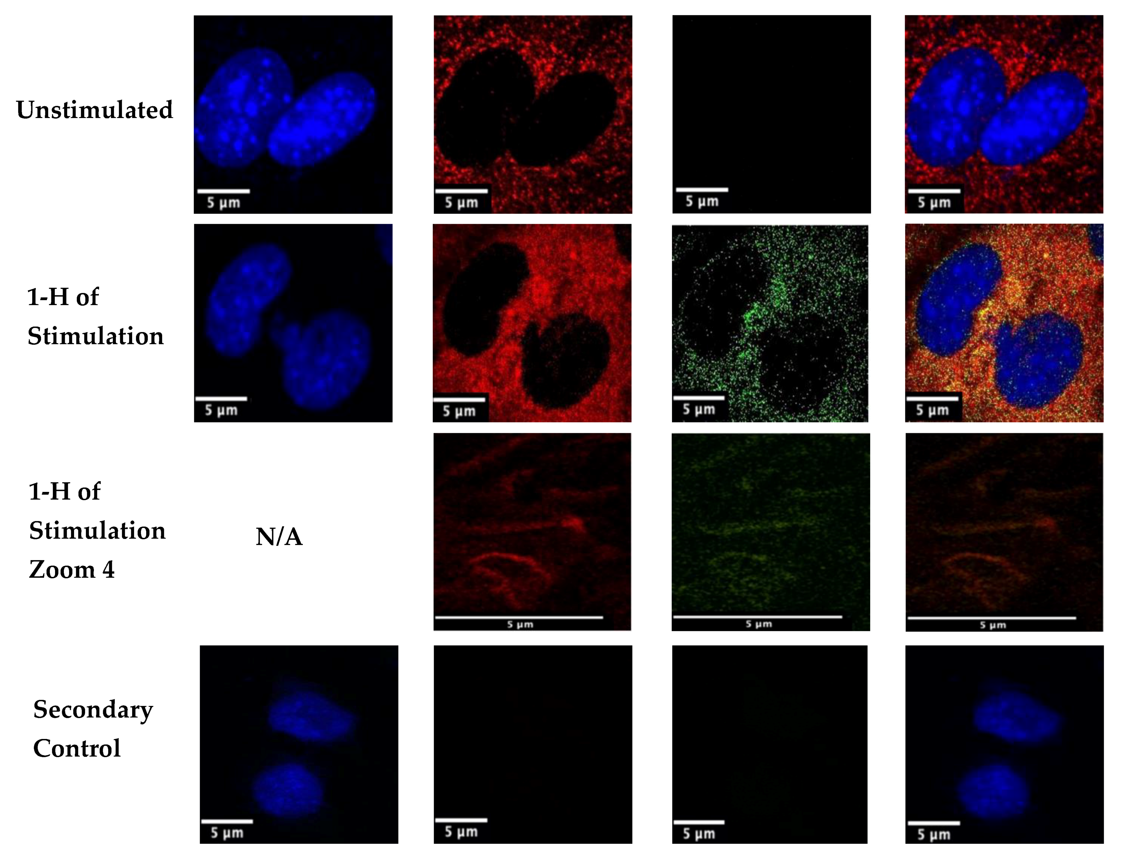 Nanomaterials 10 01208 g004