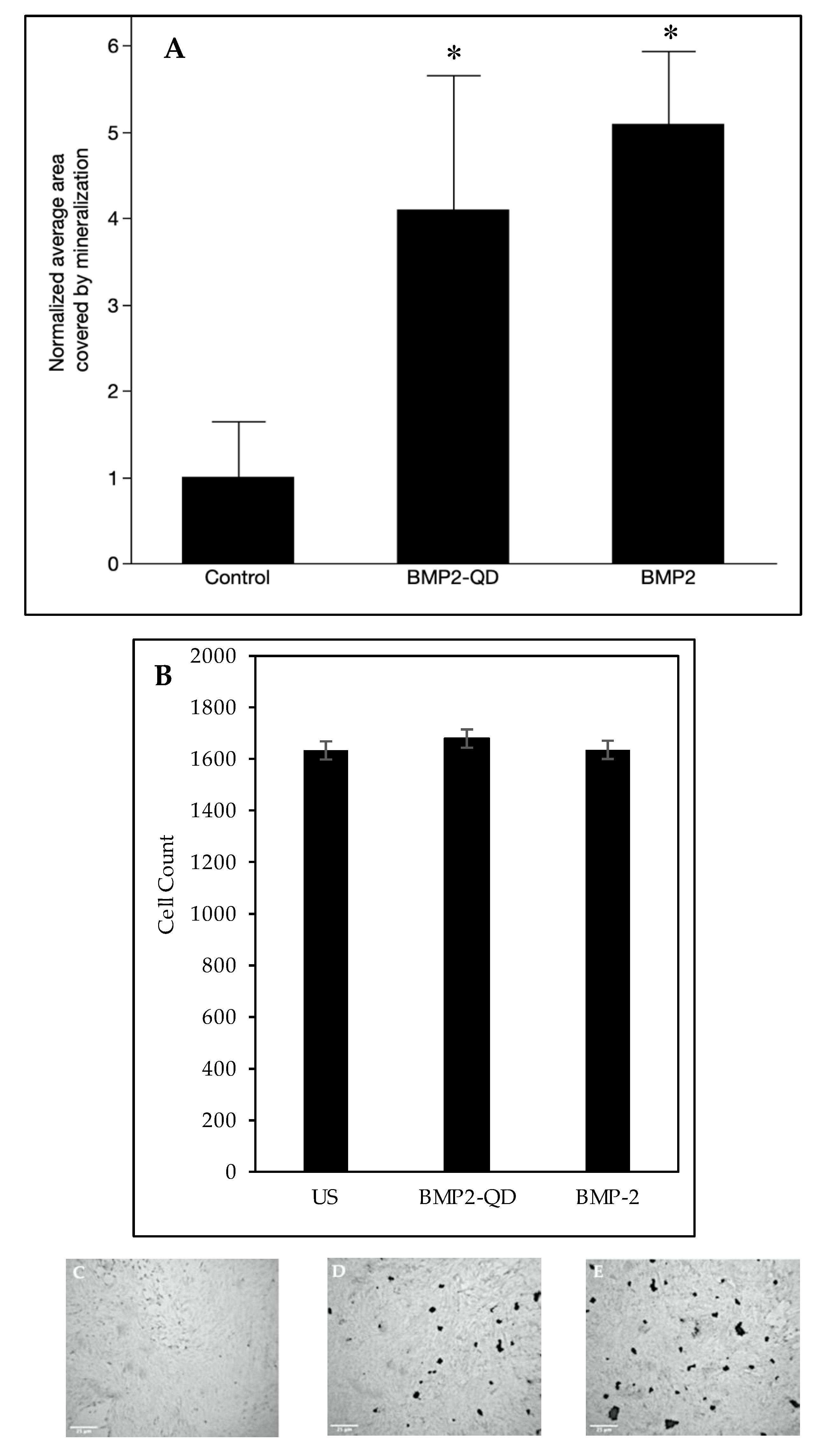 Nanomaterials 10 01208 g005