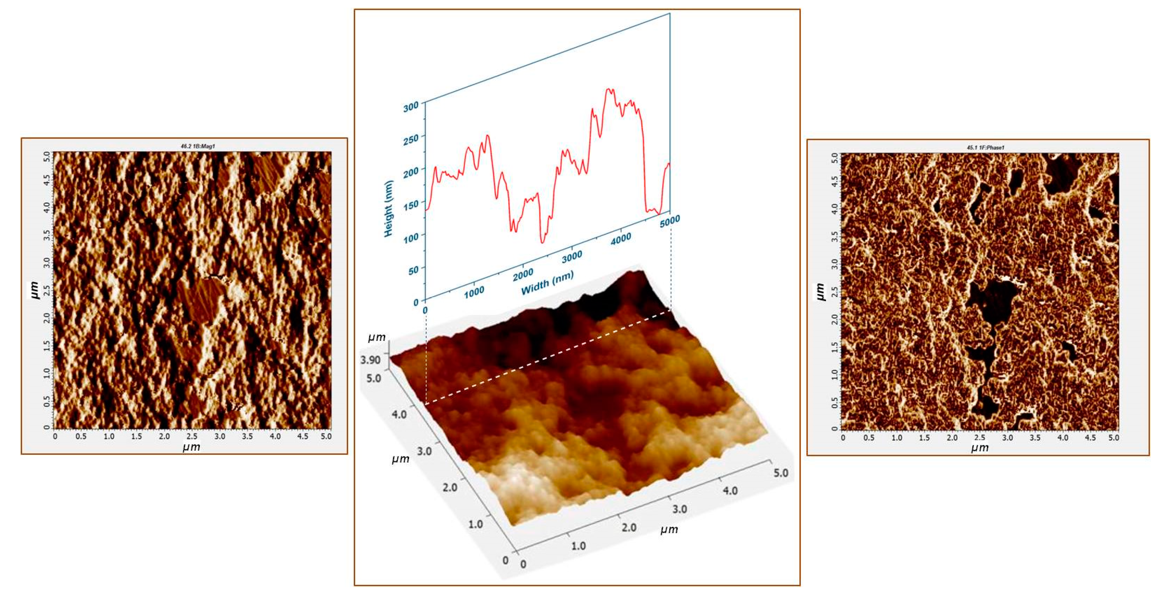 Nanomaterials 10 01212 g002