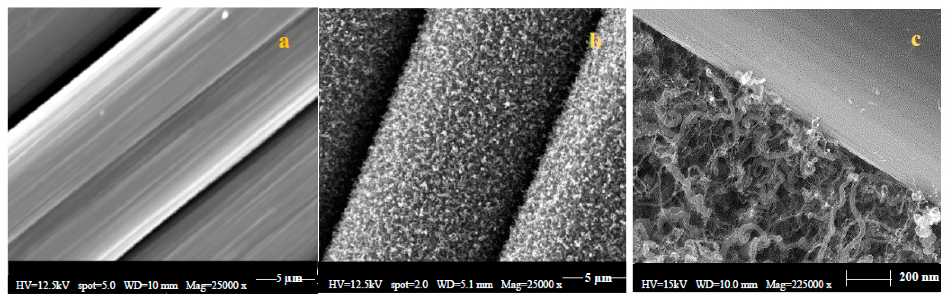 Nanomaterials 10 01213 g003