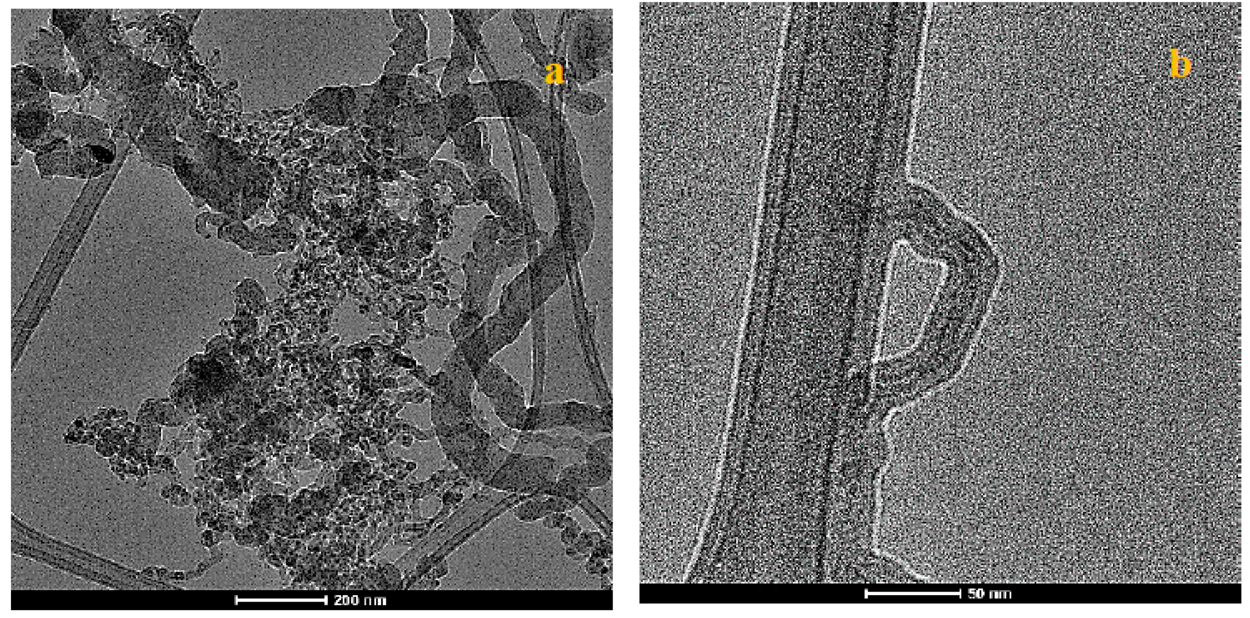 Nanomaterials 10 01213 g004
