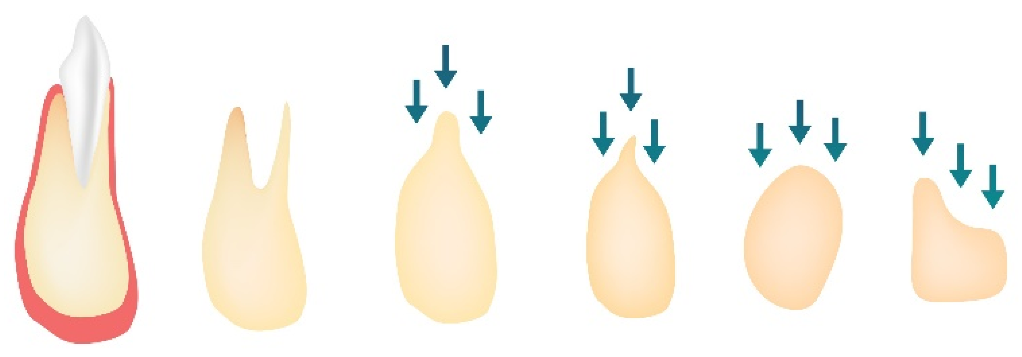 Nanomaterials 10 01216 g001 Nanomaterials 10 01216 g001