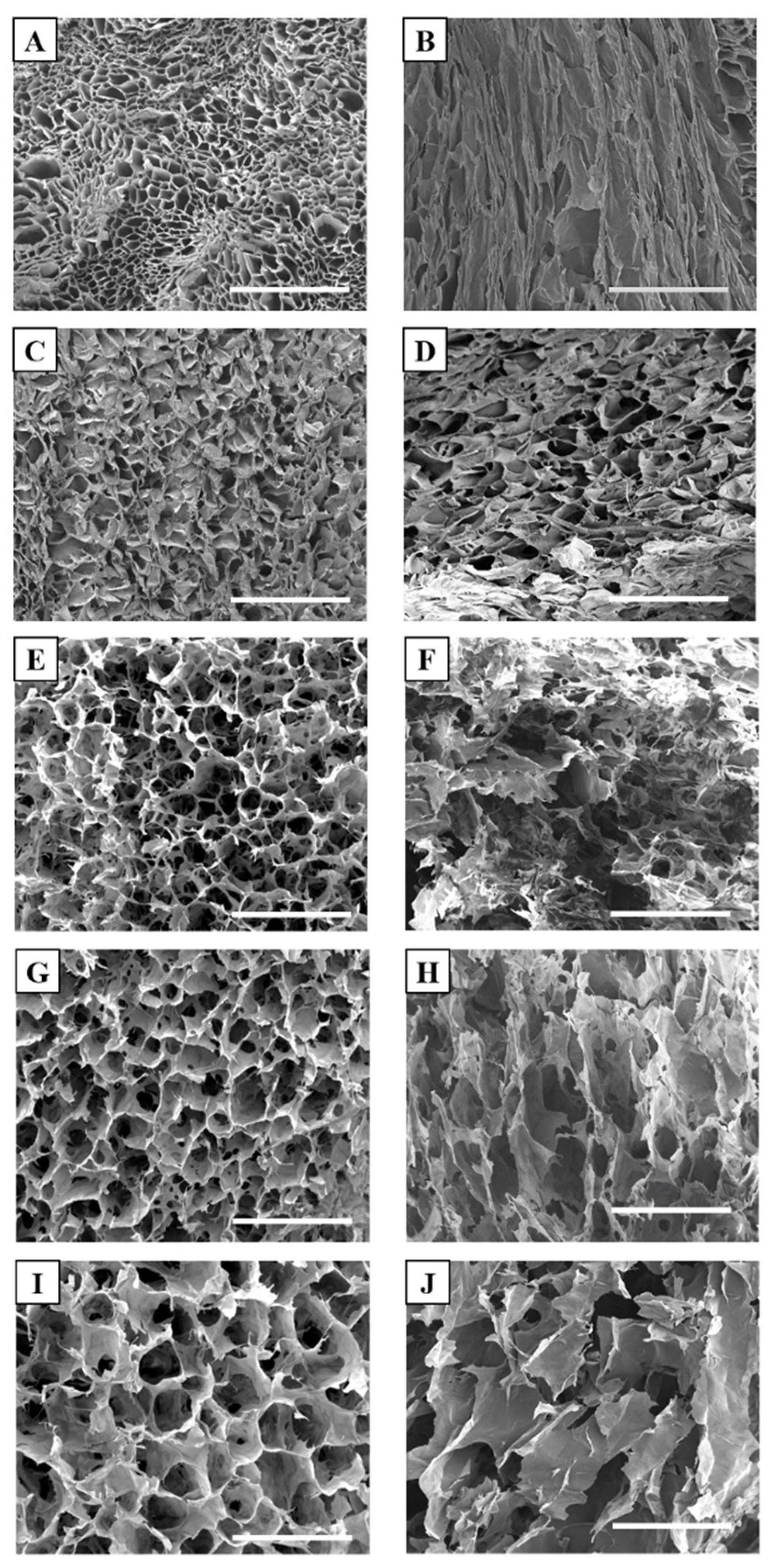 Nanomaterials 10 01219 g002 Nanomaterials 10 01219 g002