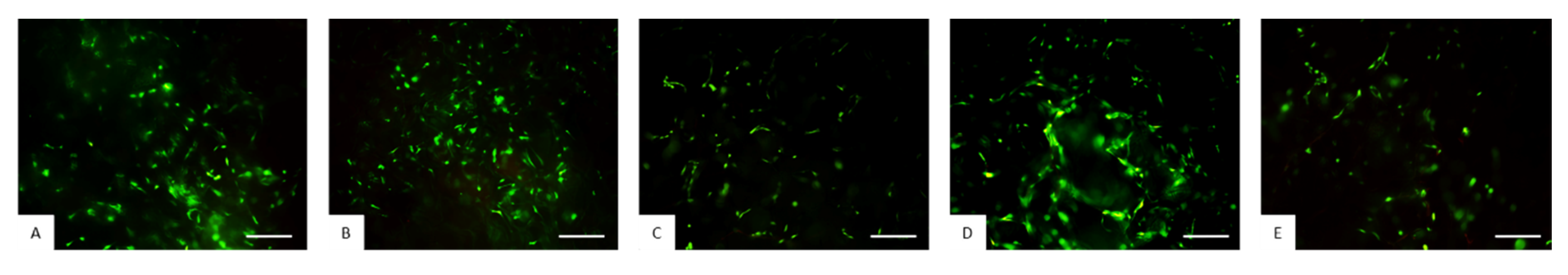 Nanomaterials 10 01219 g008 Nanomaterials 10 01219 g008